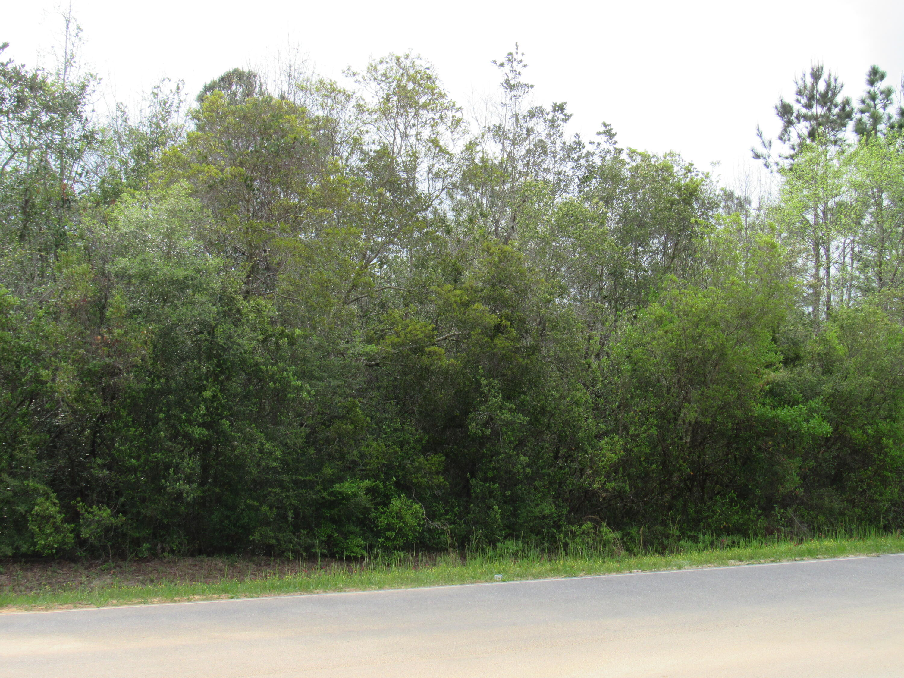 OAKWOOD HILLS UNIT 1 - Land