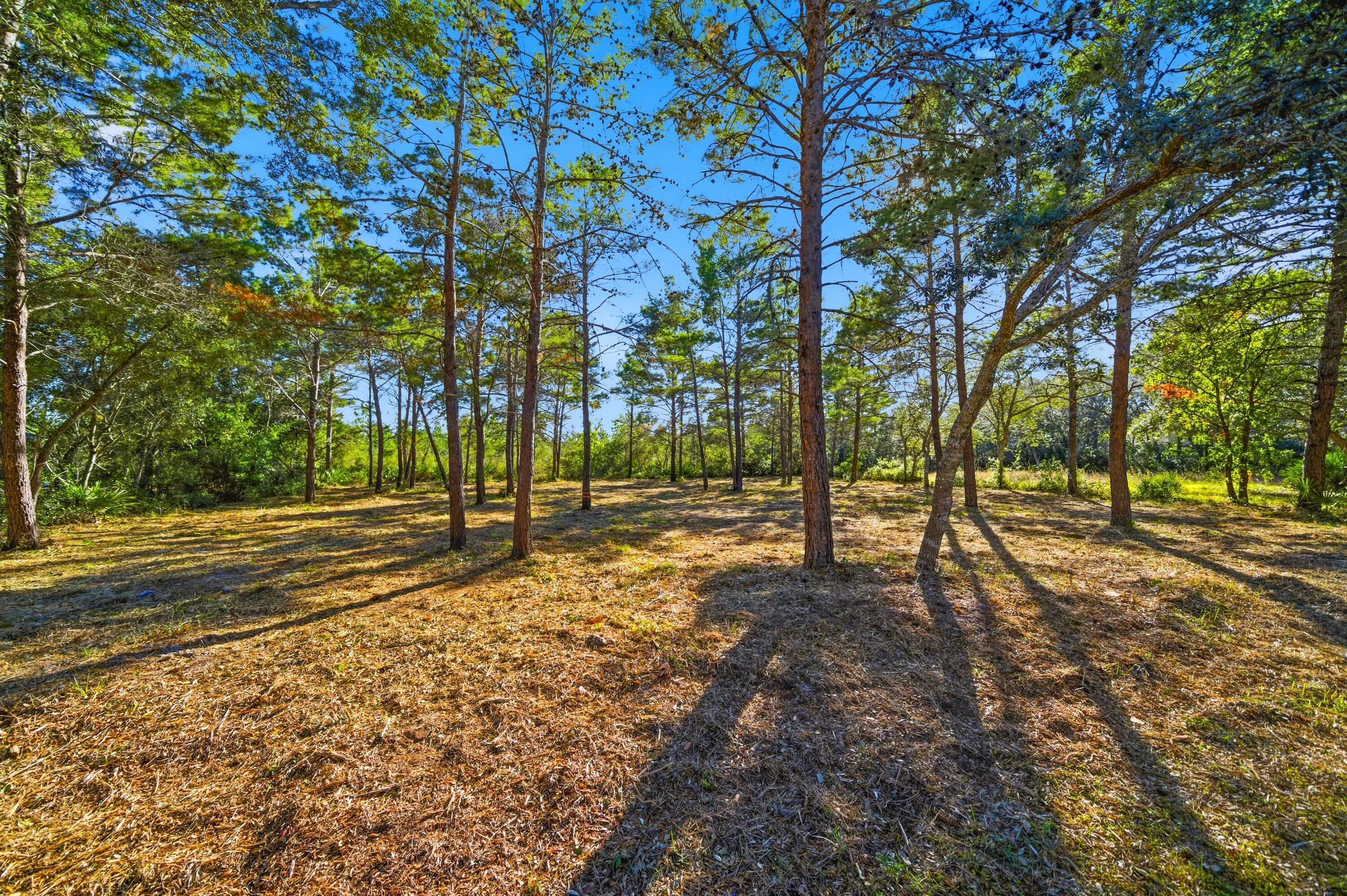 BAYOU POINT - Land