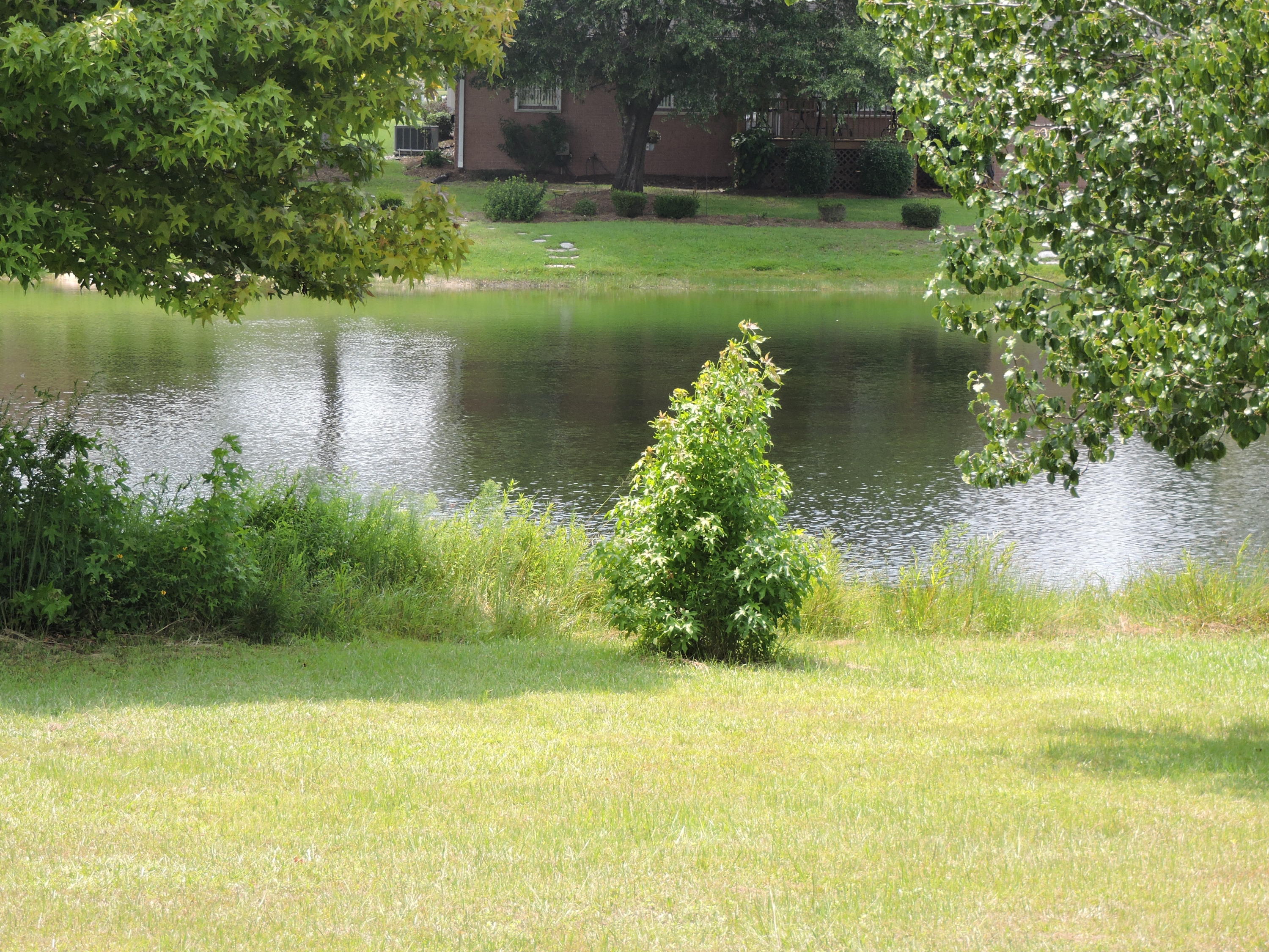 SHOAL LAKE PH 1A - Residential Lease