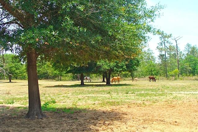 Richardson Manor Unrec. - Residential