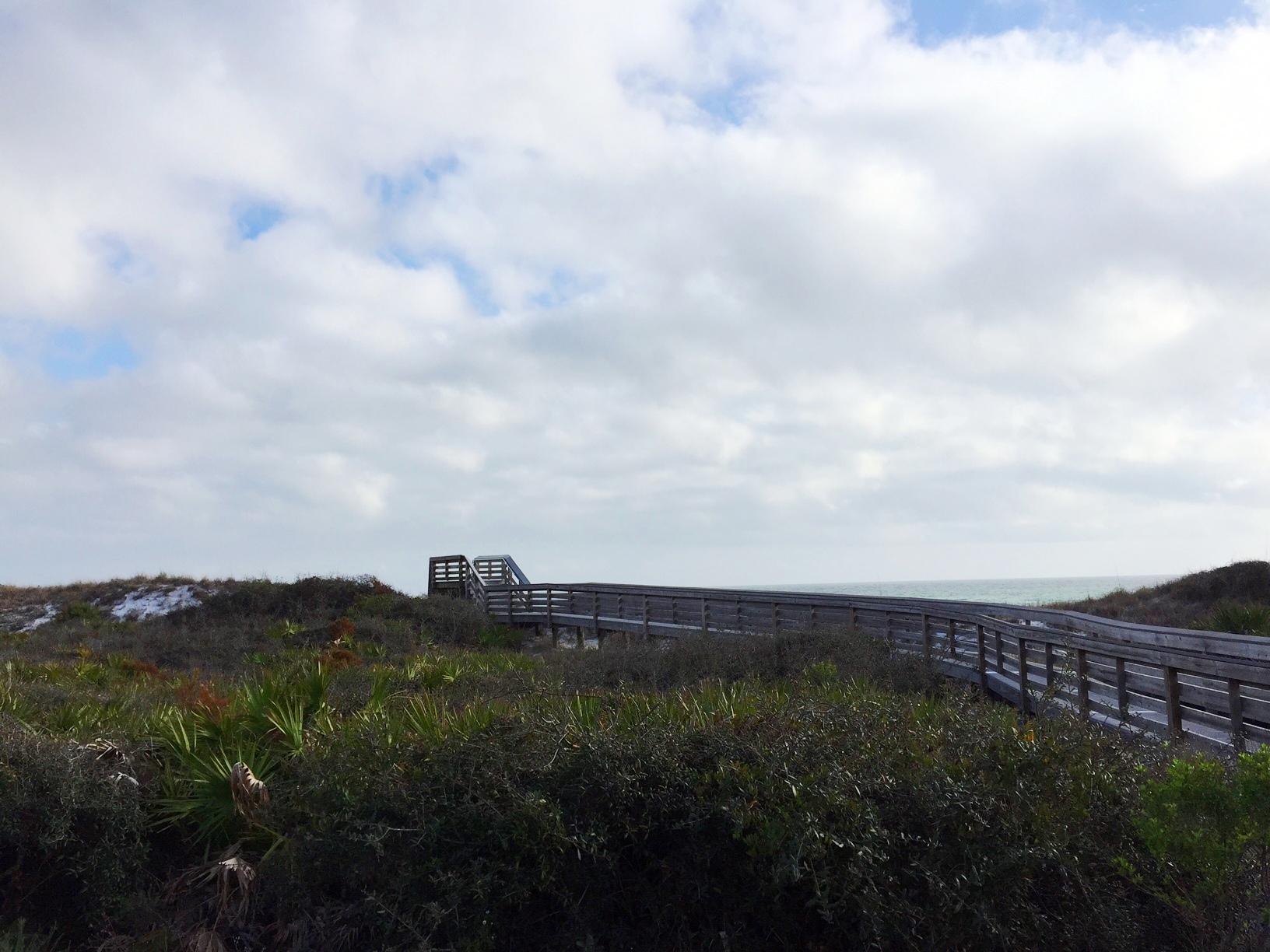INLET BEACH - Land