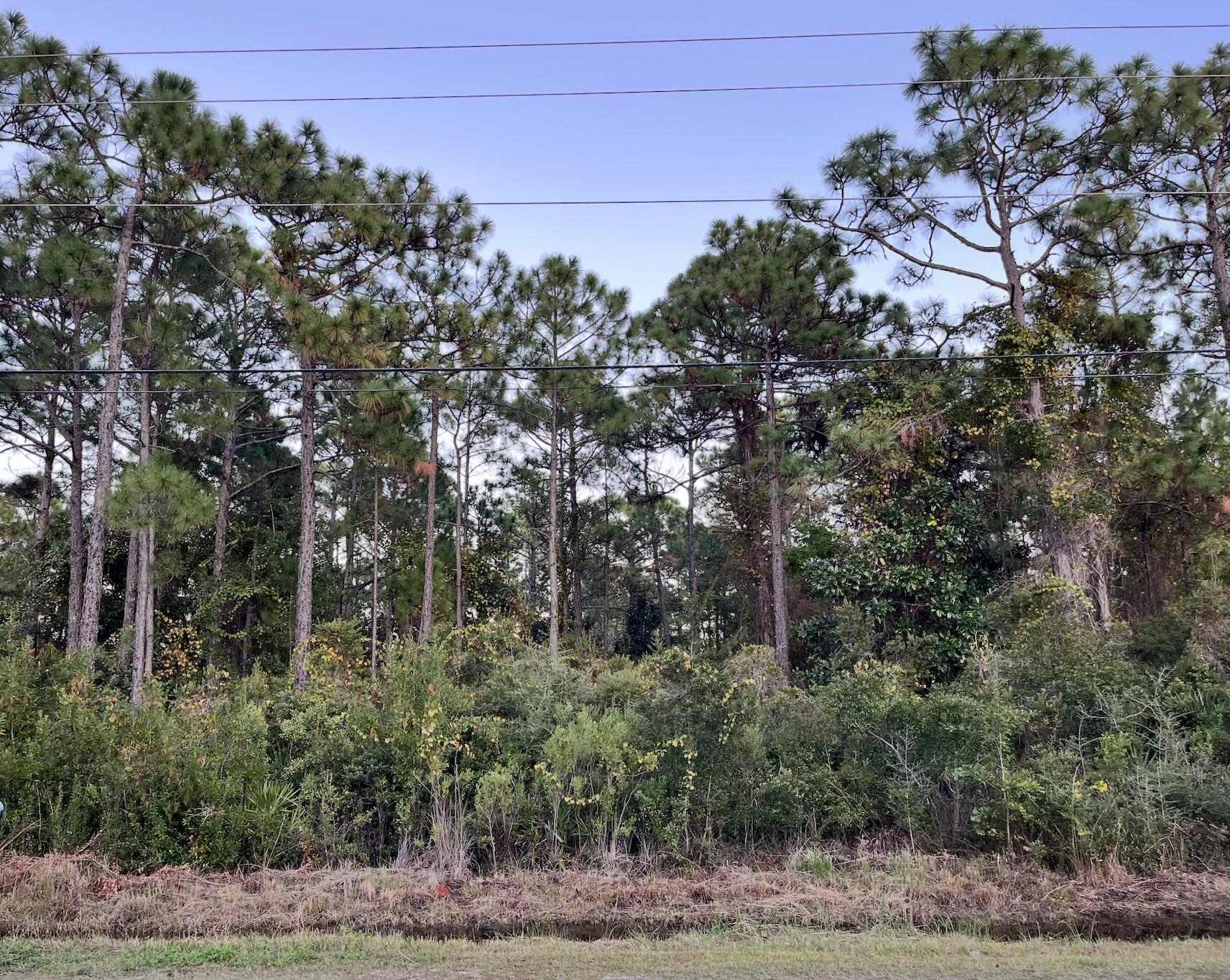 Nestled in the heart of Santa Rosa Beach, this property offers a prime opportunity for residential development. Free from HOA restrictions, this 1.15-acre tract provides a blank canvas to create homes that embrace both Bay and Beach lifestyles.

Land Lots 15,16,17 boasts 150 feet of Hwy 393 frontage and boarders pristine wetland Lots 8,9,10,11,12 ensuring lasting privacy and a tranquil natural backdrop. Currently zoned Residential Preservation and located within Flood Zone AE.

Ideally situated just ¼ mile north of Cessna Landing and the Choctawhatchee Bay, residents can enjoy easy access to boating, fishing, and outdoor recreation.

(More Photos Coming Soon) Cessna Landing, a Walton County park, offers a boat launch, docks, picnic shelters, basketball and squash courts, and a playground. Nearby, the Bayou Arts Center, home to the Cultural Arts Alliance of Walton County, adds a creative touch to this desirable community.

For beach lovers, Ed Walline Regional Beach Access is only 3.8 miles south on Highway 393, providing direct access to the sugar-white sands and emerald waters of the Gulf of Mexico.

This multi-lot parcel is perfect for builders, investors, or those seeking a serene coastal homesite close to both the Bay and the Beach.  This rare opportunity combines location, flexibility, and natural beautyperfect for building your vision in one of Santa Rosa Beach's most sought-after areas.