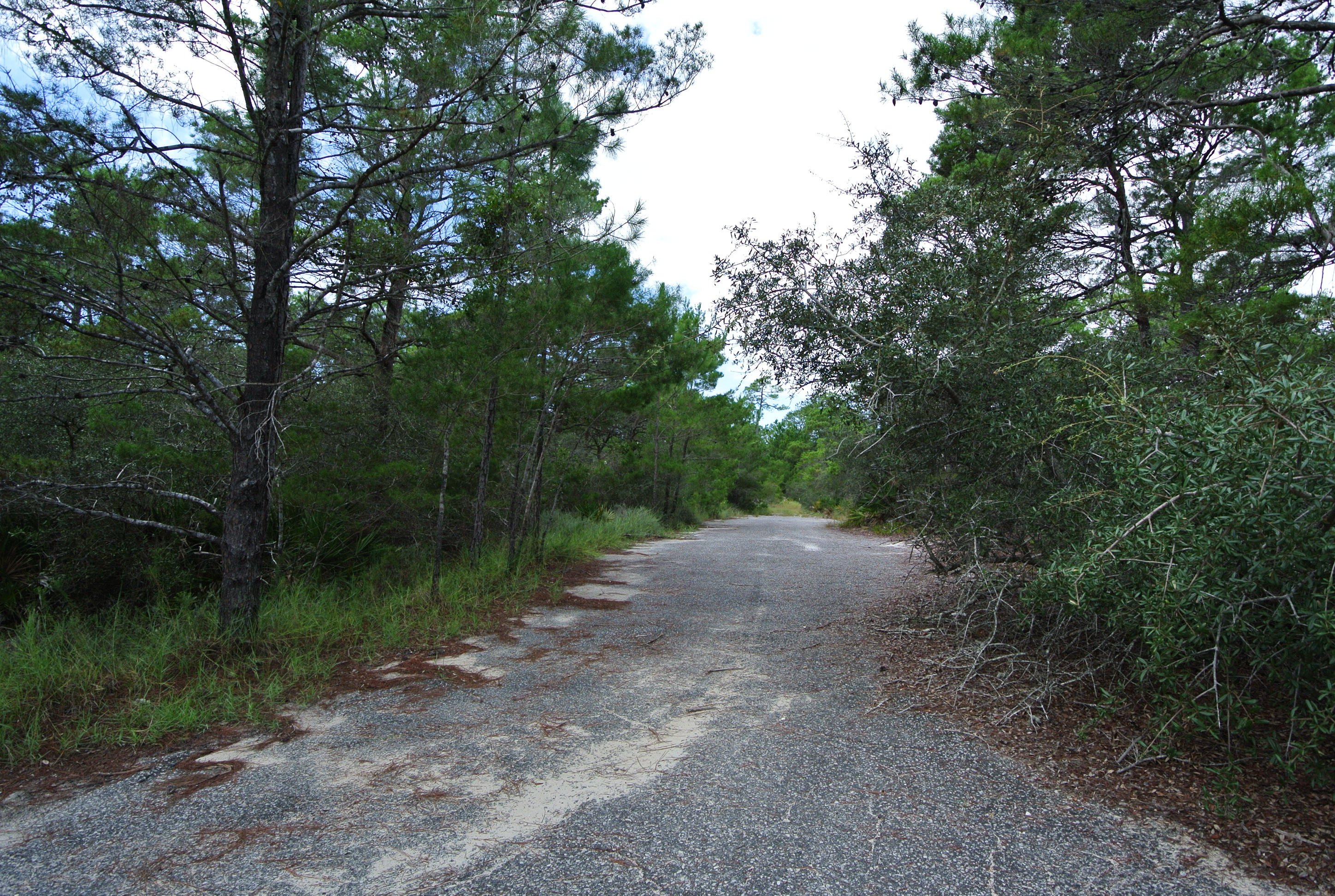 COUNTRY CLUB ESTATES - Land