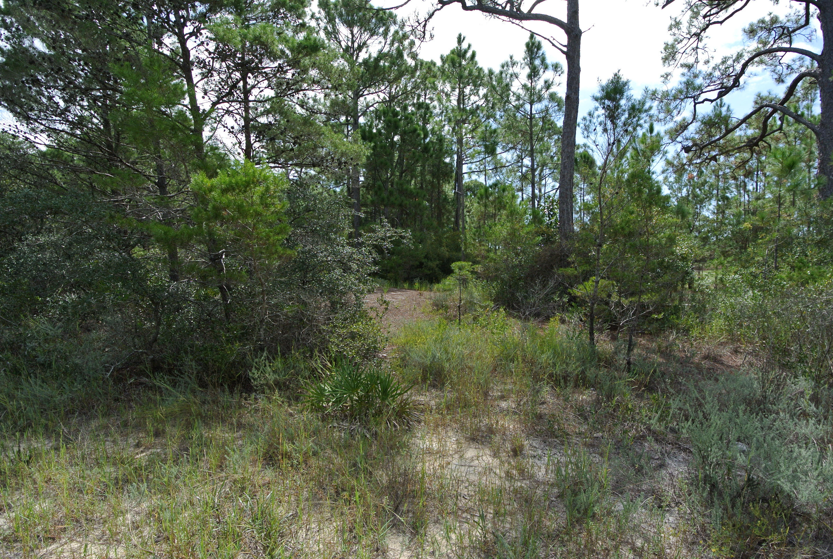 COUNTRY CLUB ESTATES - Land
