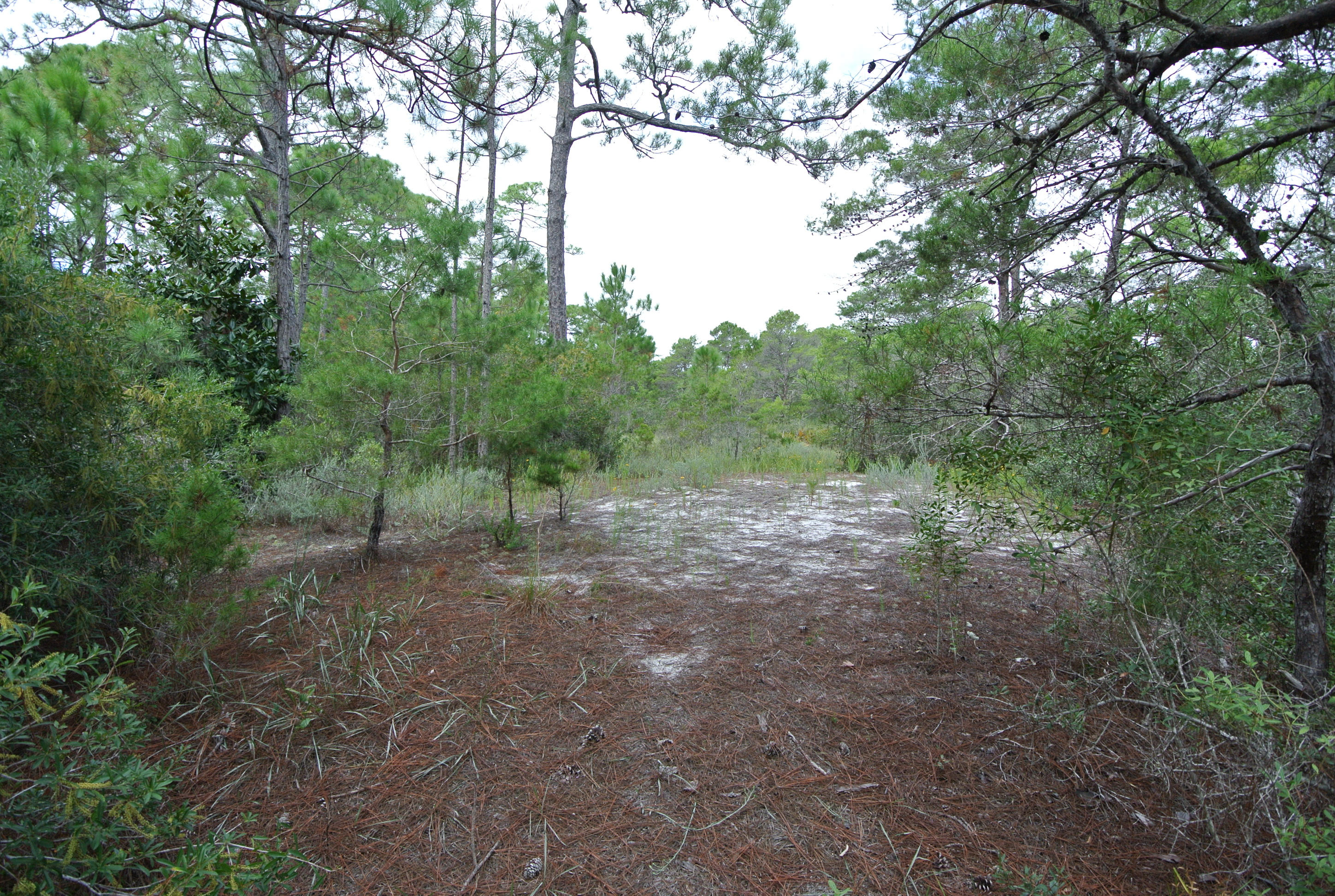 COUNTRY CLUB ESTATES - Land
