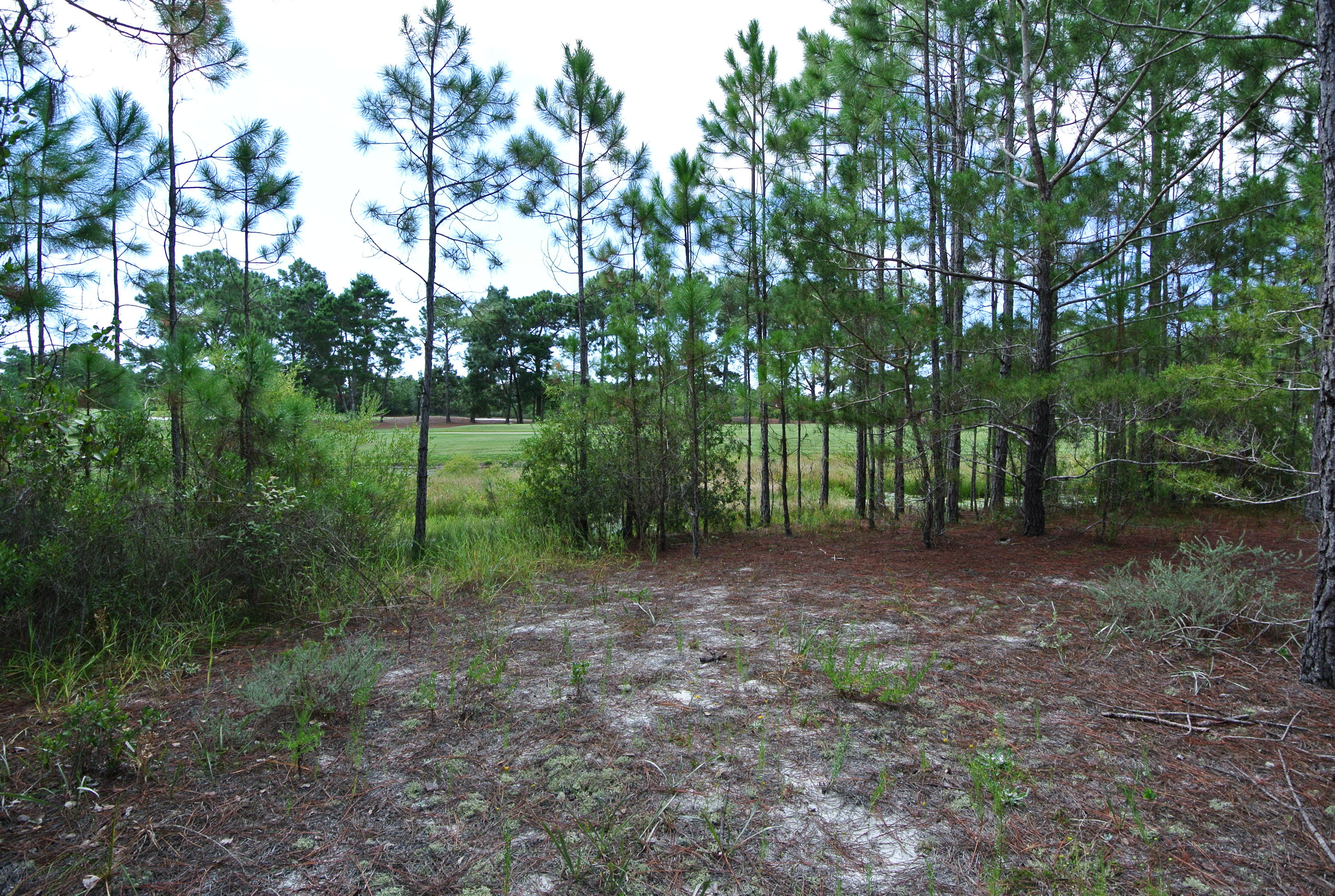 COUNTRY CLUB ESTATES - Land