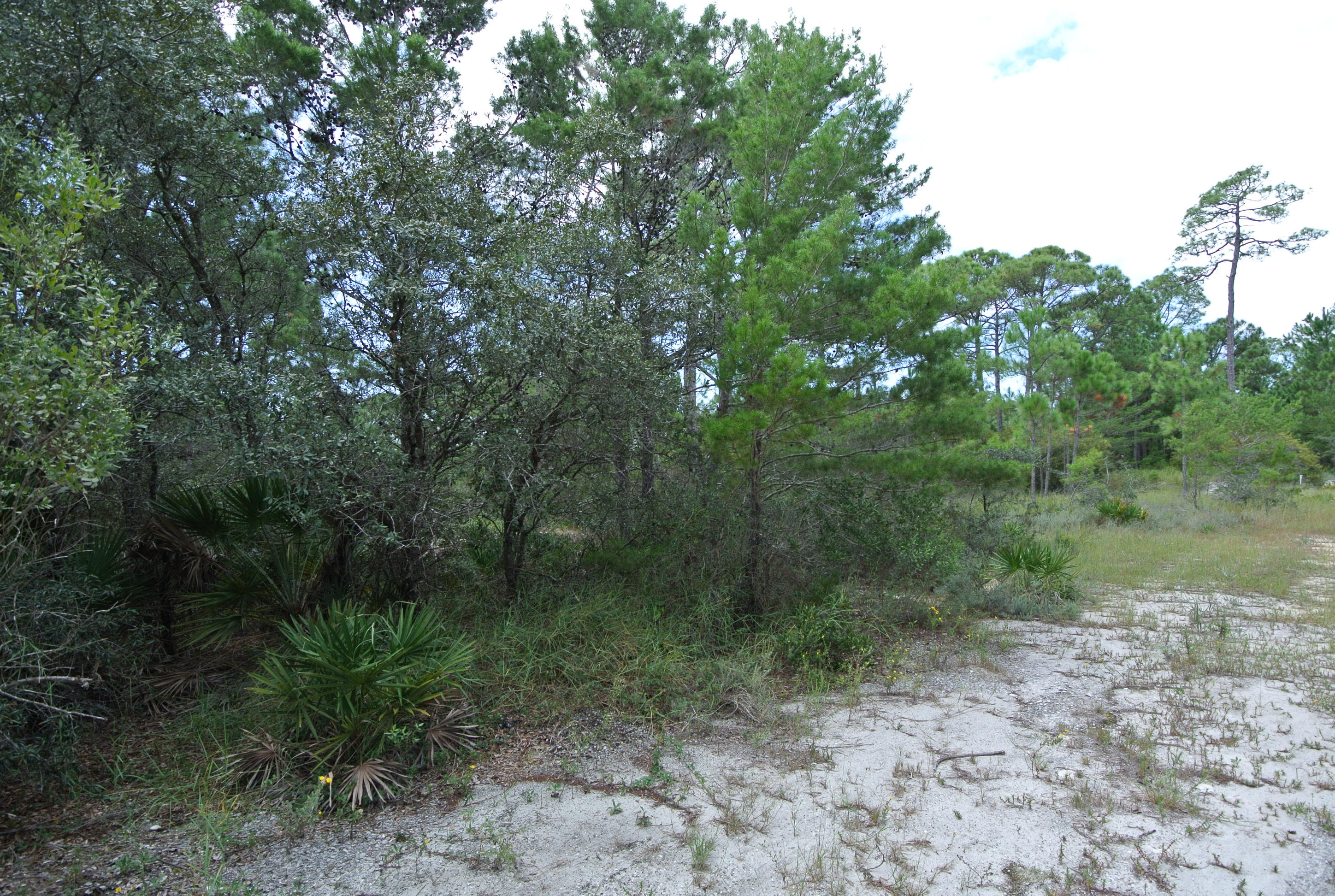 COUNTRY CLUB ESTATES - Land