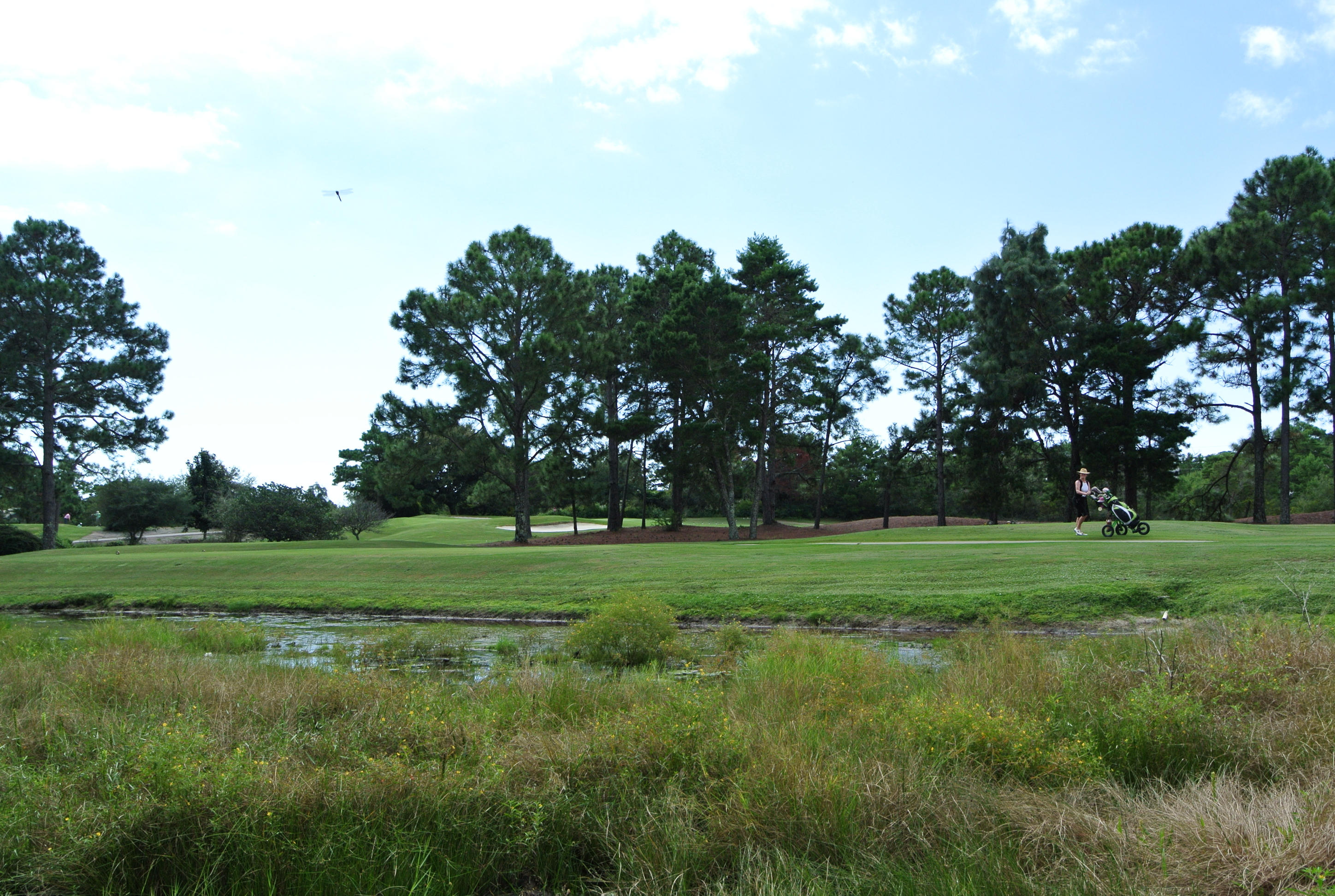 COUNTRY CLUB ESTATES - Land