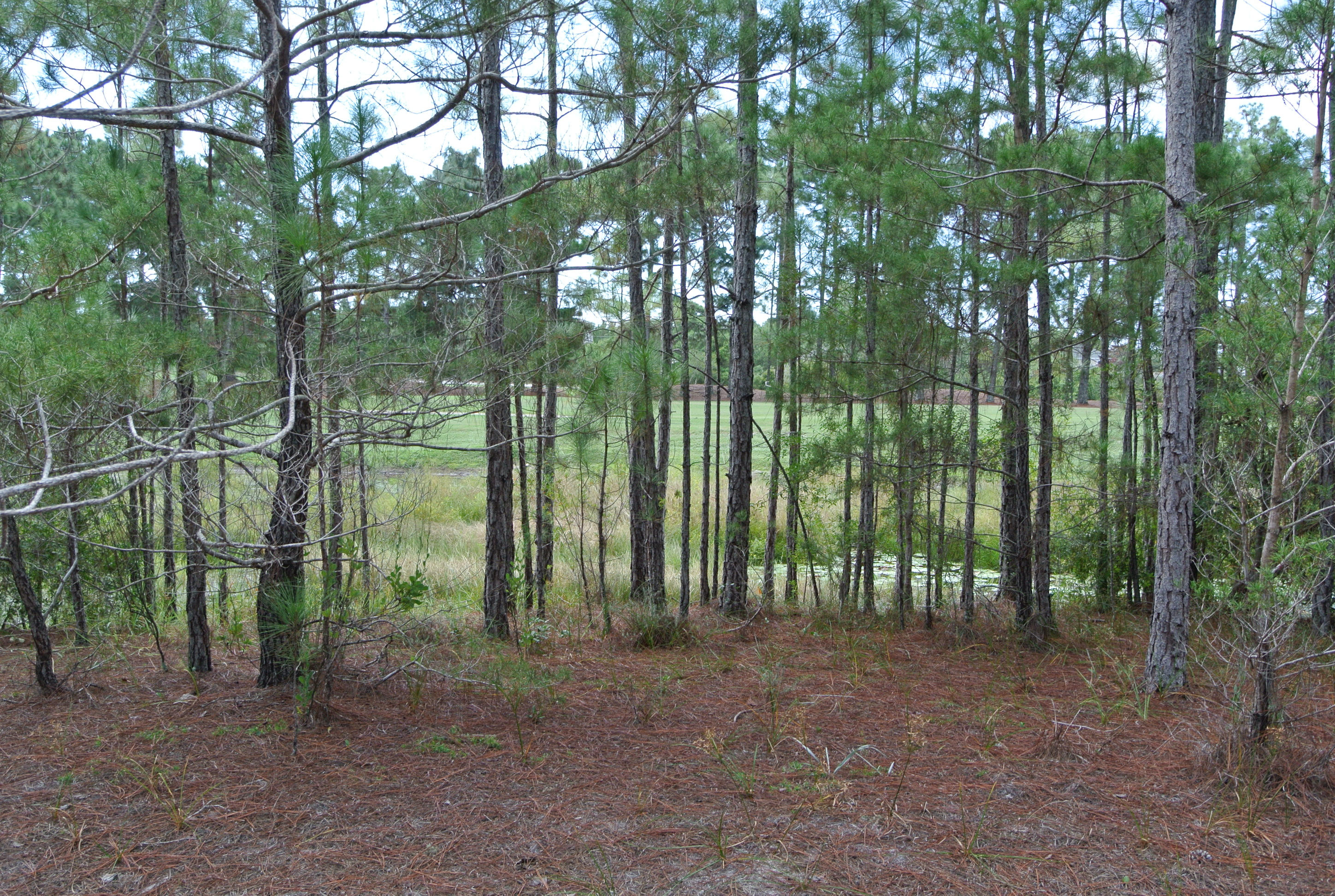 COUNTRY CLUB ESTATES - Land