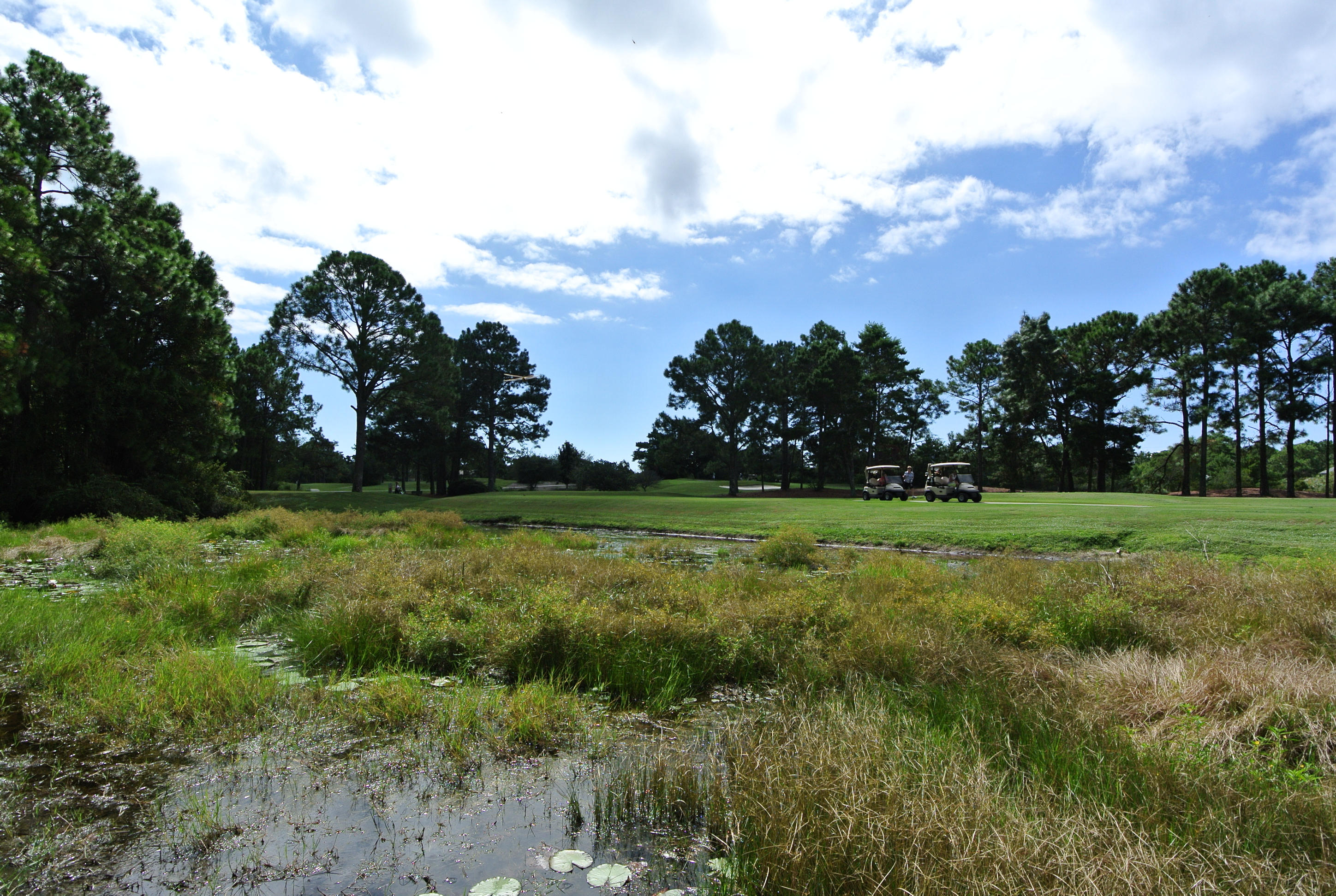 COUNTRY CLUB ESTATES - Land