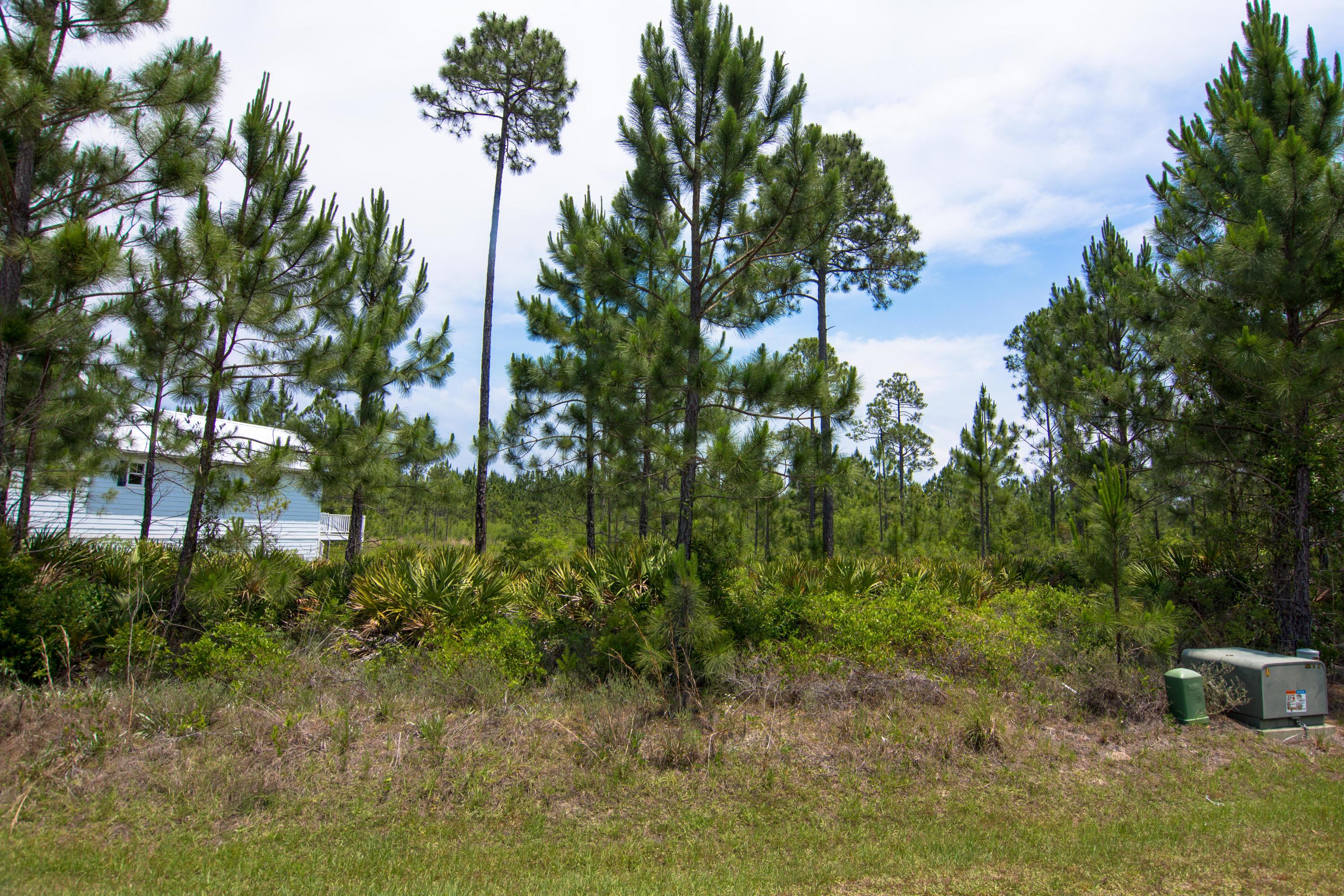 CYPRESS BREEZE PLANTATION - Land