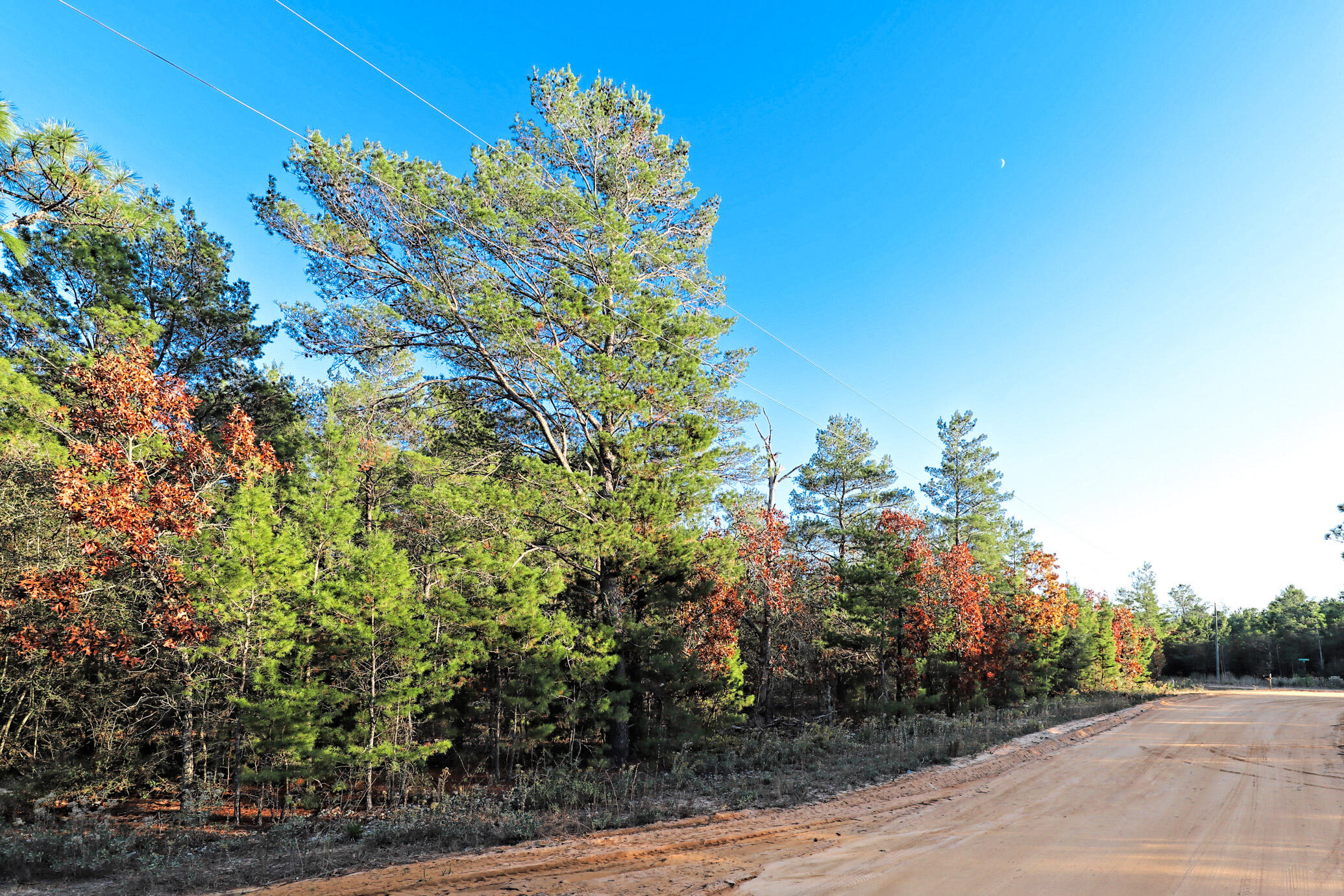 OAKWOOD HILLS UNIT IV - Land