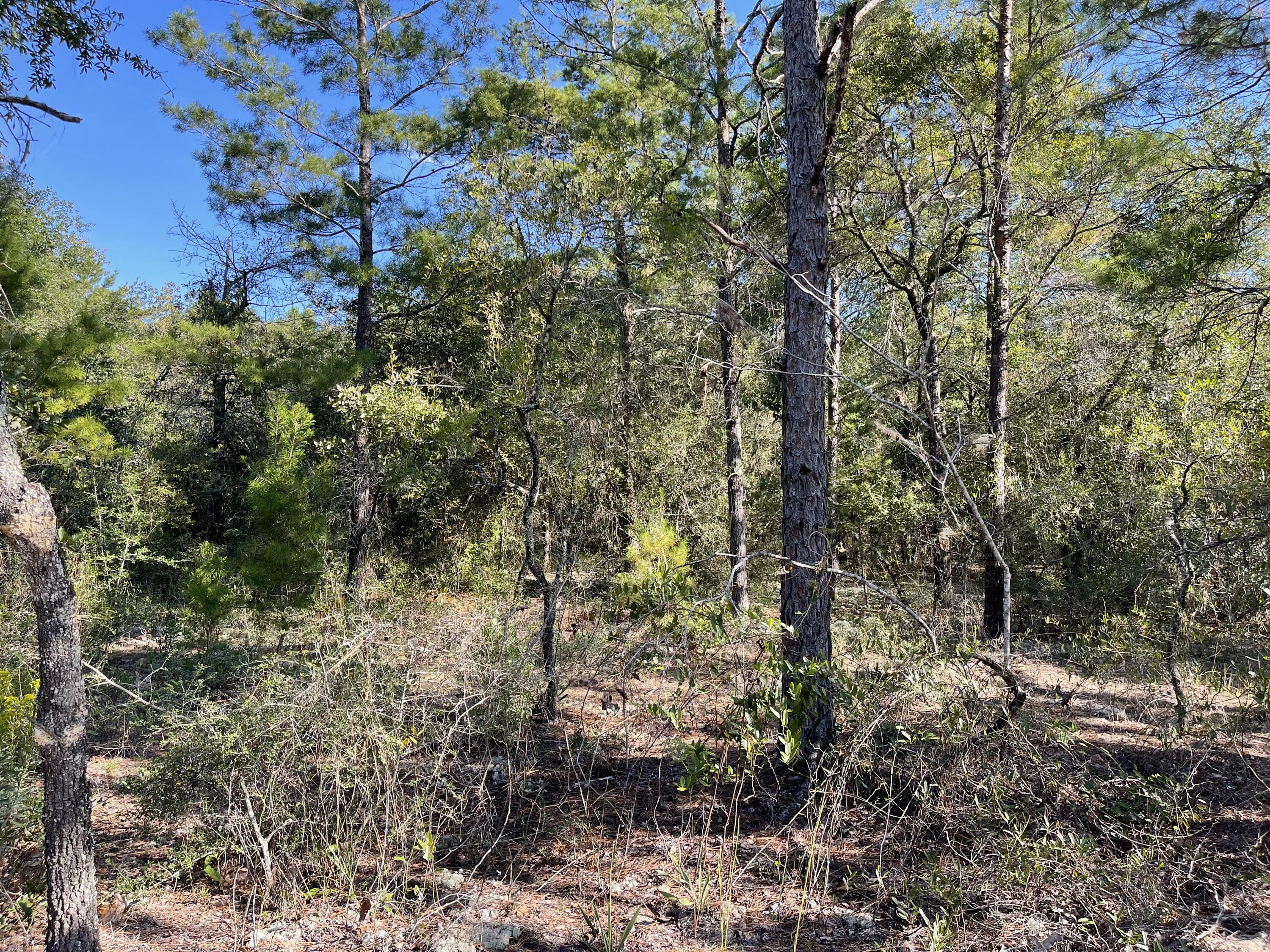 OAKWOOD HILLS UNIT II - Land