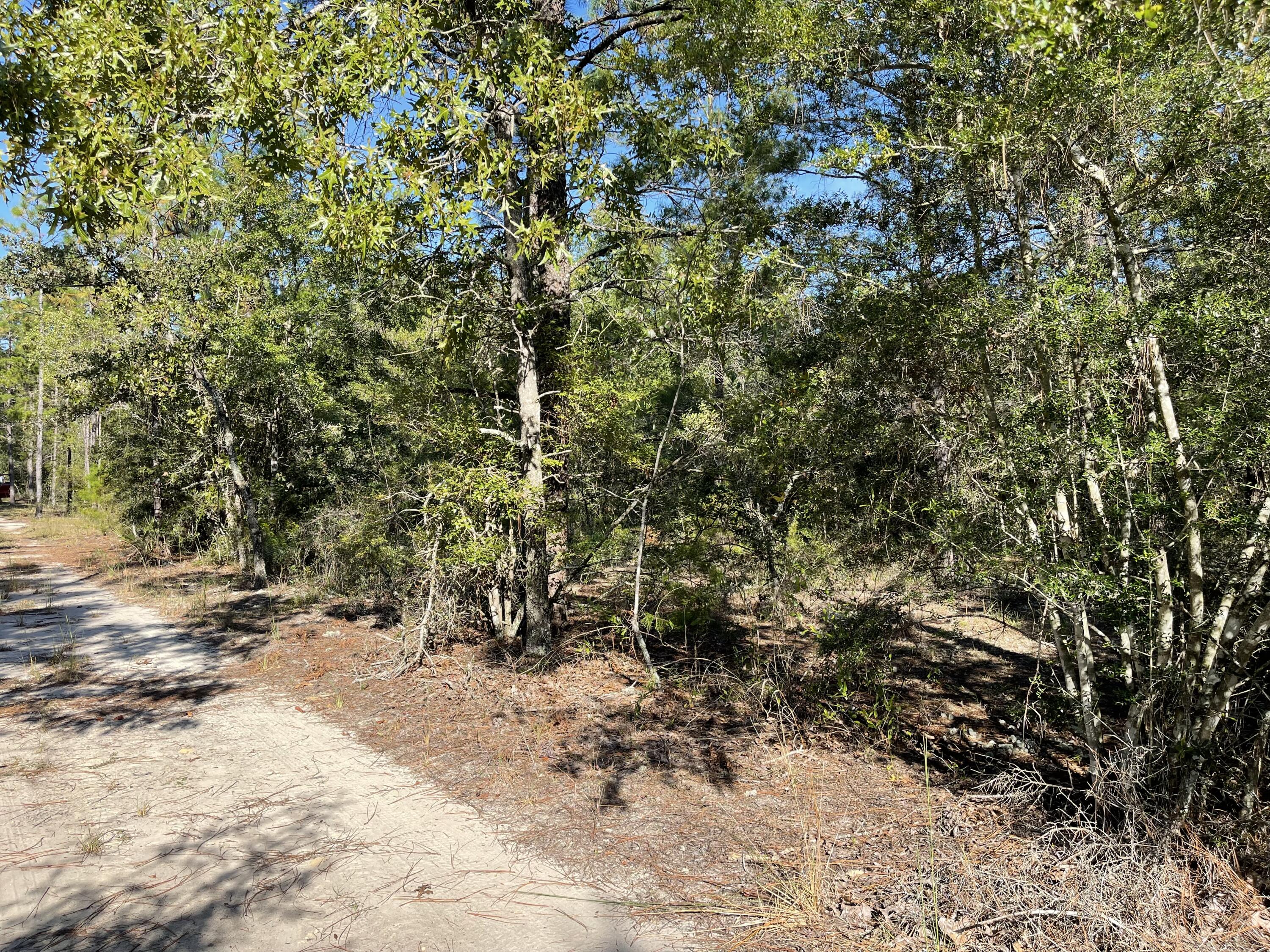 OAKWOOD HILLS UNIT II - Land