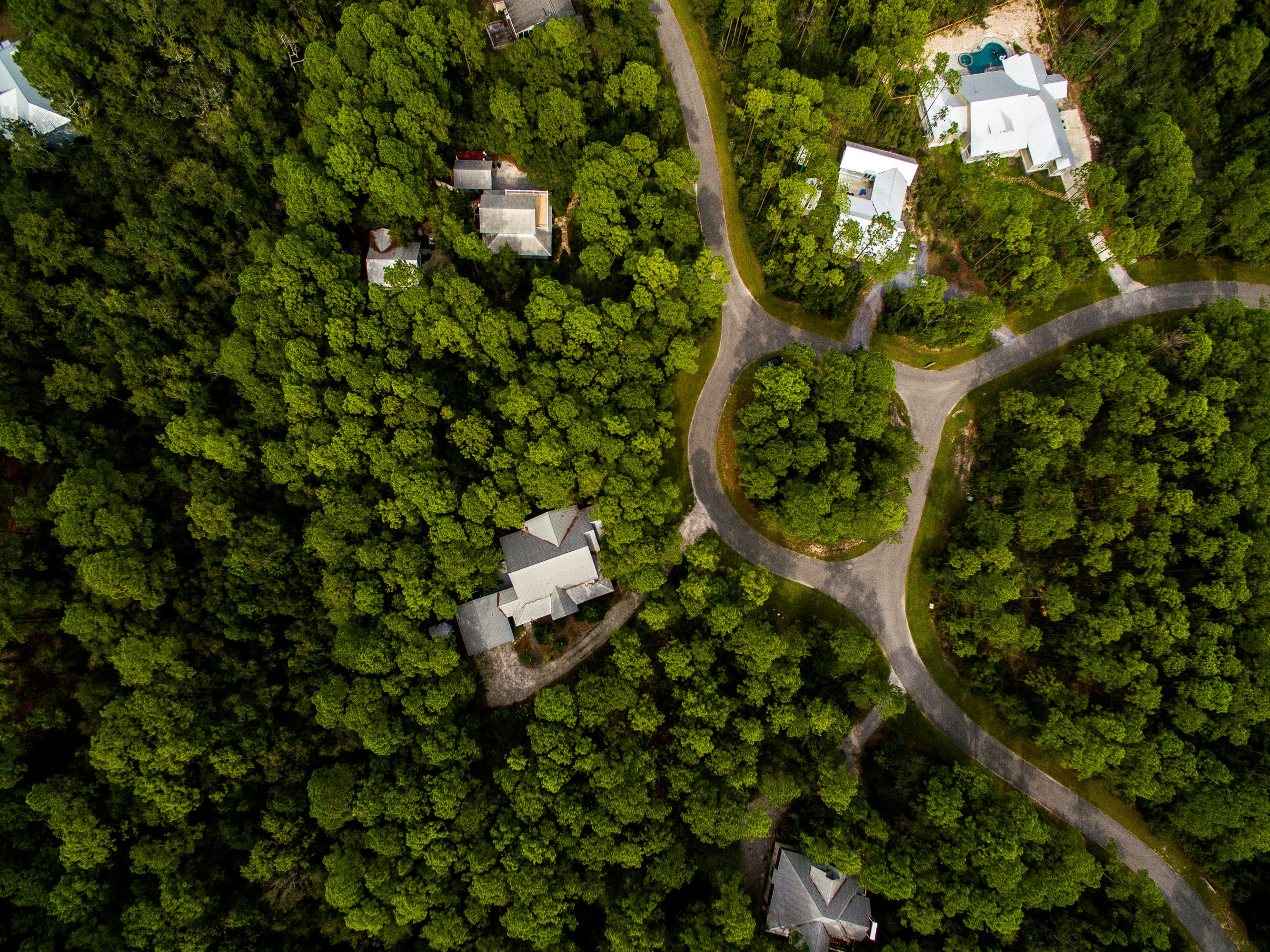 The Woods - Land