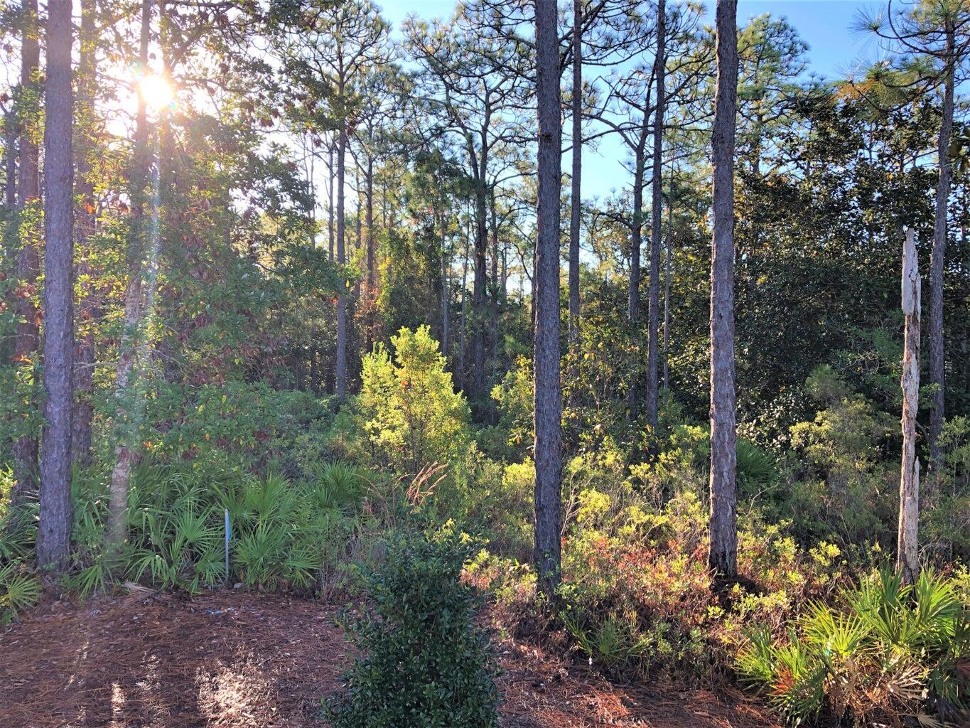 MACK BAYOU PARK S/D - Residential