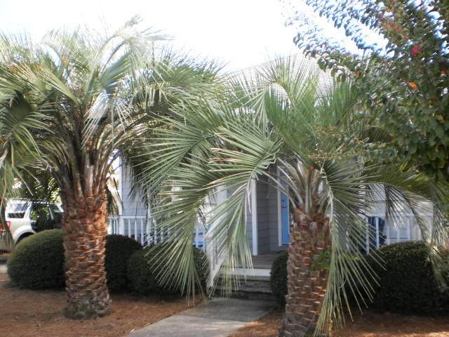 CRYSTAL BEACH COTTAGES PH 2 - Residential Lease