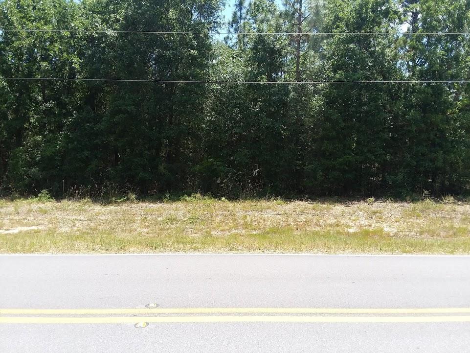 This is an excellent chance to own a desirable lot on Lake Silver Rd. Paved street with level lot.
If you prefer a larger lot, the owner also has the adjacent lot that she would consider selling.. It is the same dimensions (.7 acre and 102 x 297)