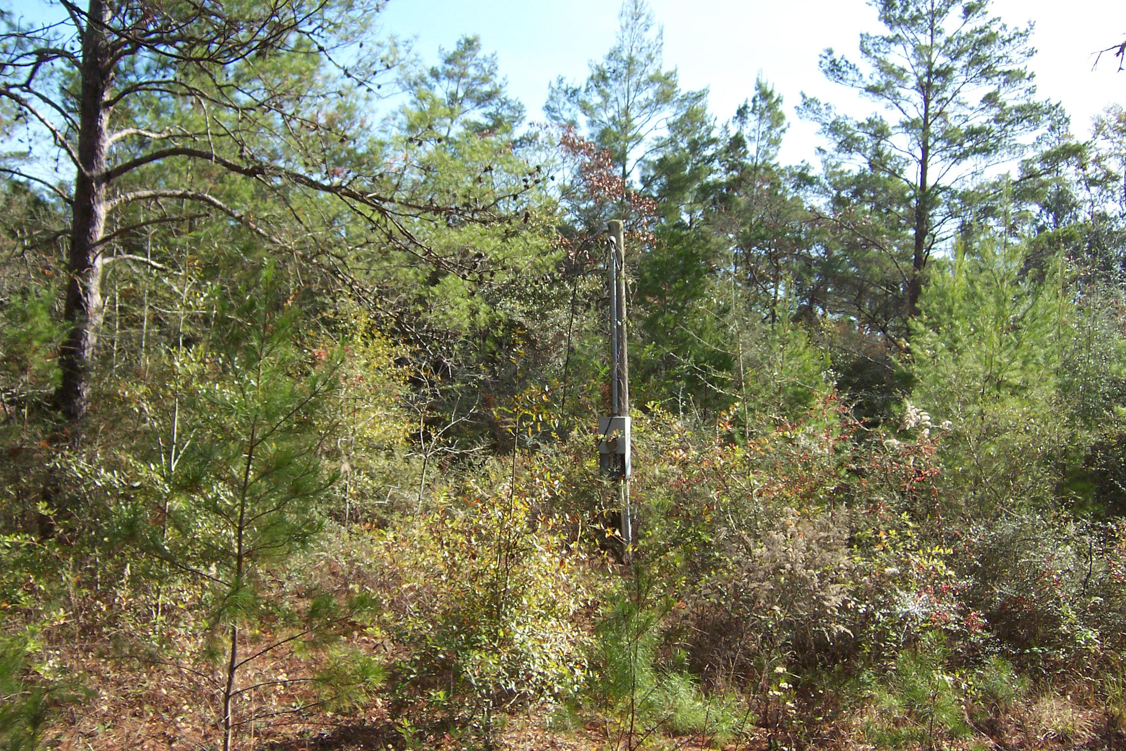 OAKWOOD HILLS UNIT 3 - Land