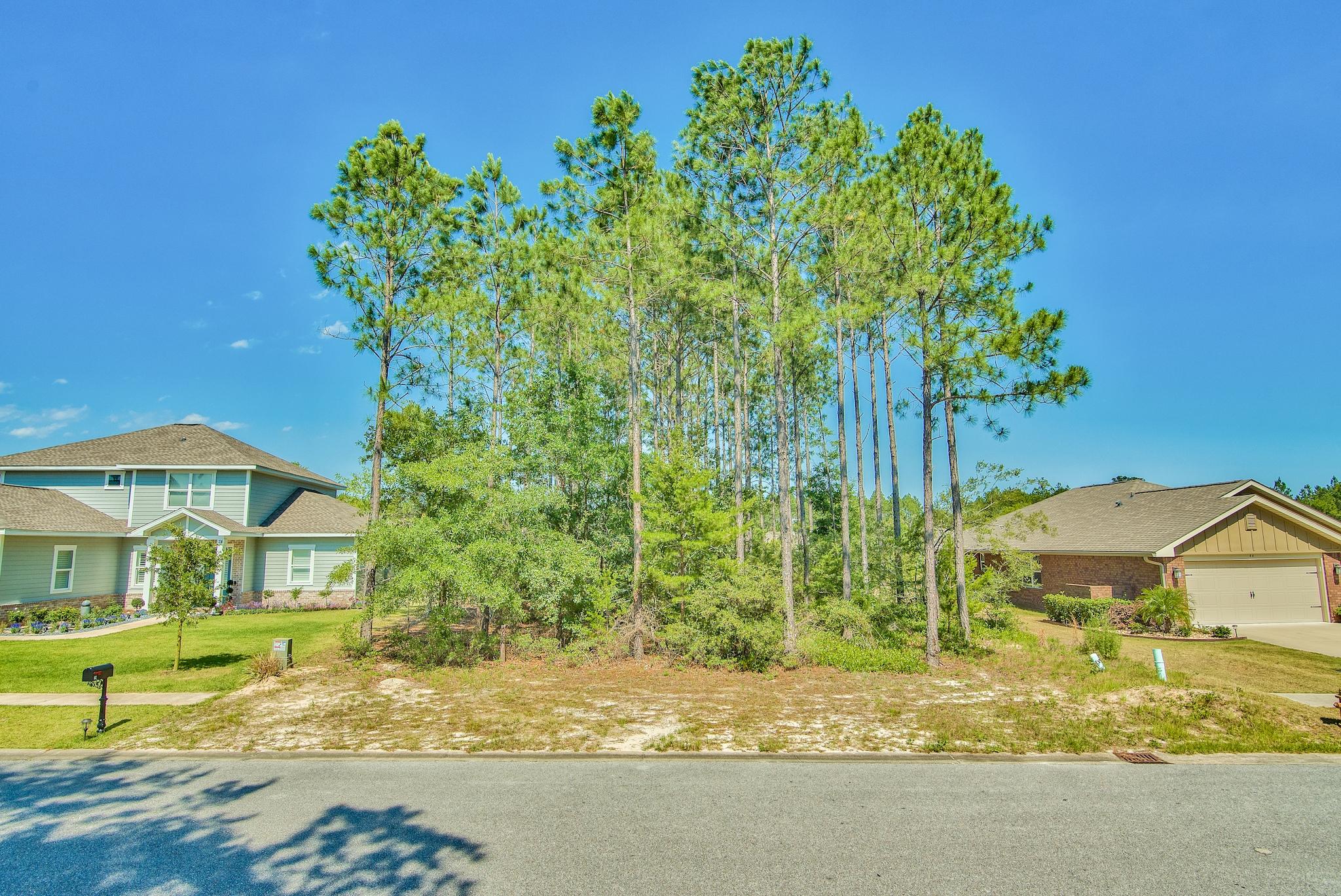 HAMMOCK BAY - Land