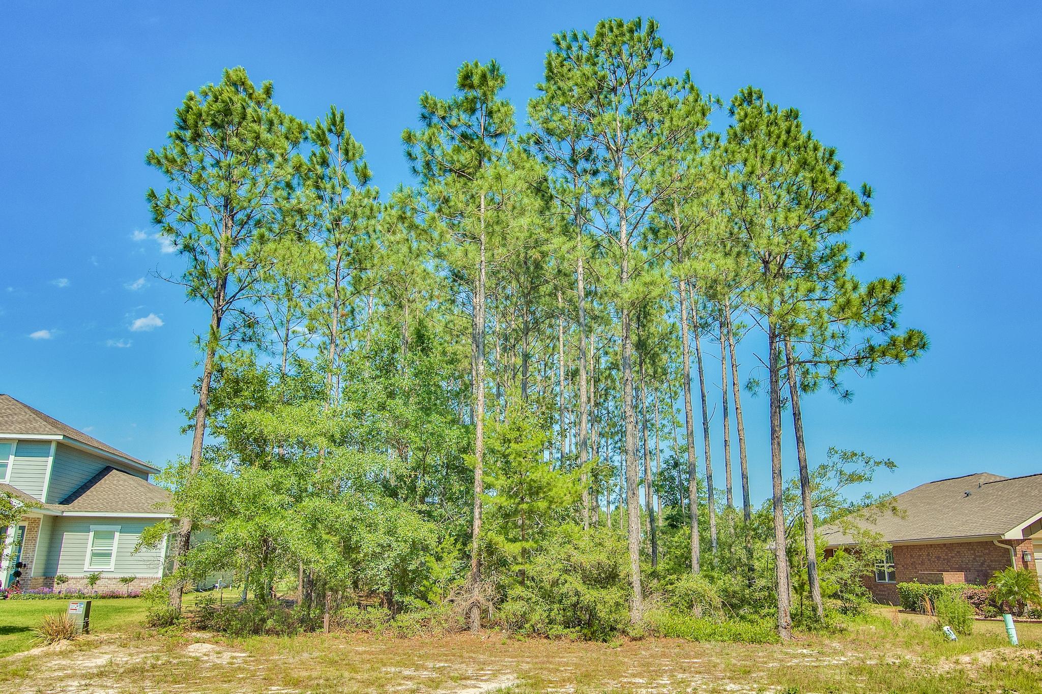 THE Perfect Home Site To Build Your Dream Home In The Much Sought After Community Of Hammock Bay! This Lake Front Lot Is Nestled In The Symphony Section Of The Subdivision & Is Conveniently Located Near The State-Of-The-Art Amenities That Hammock Bay Is Known For. Within 15 Minutes Of The Beaches, Shopping & Entertainment Of The Emerald Coast, Call Today & Make Arrangements To See For Yourself All That This Amazing Home Site Has To Offer. As Always, Buyer to Verify, Dimensions, HOA Fees & Dues.