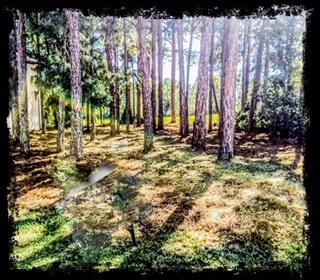 EMERALD BAY PH 1A - Land
