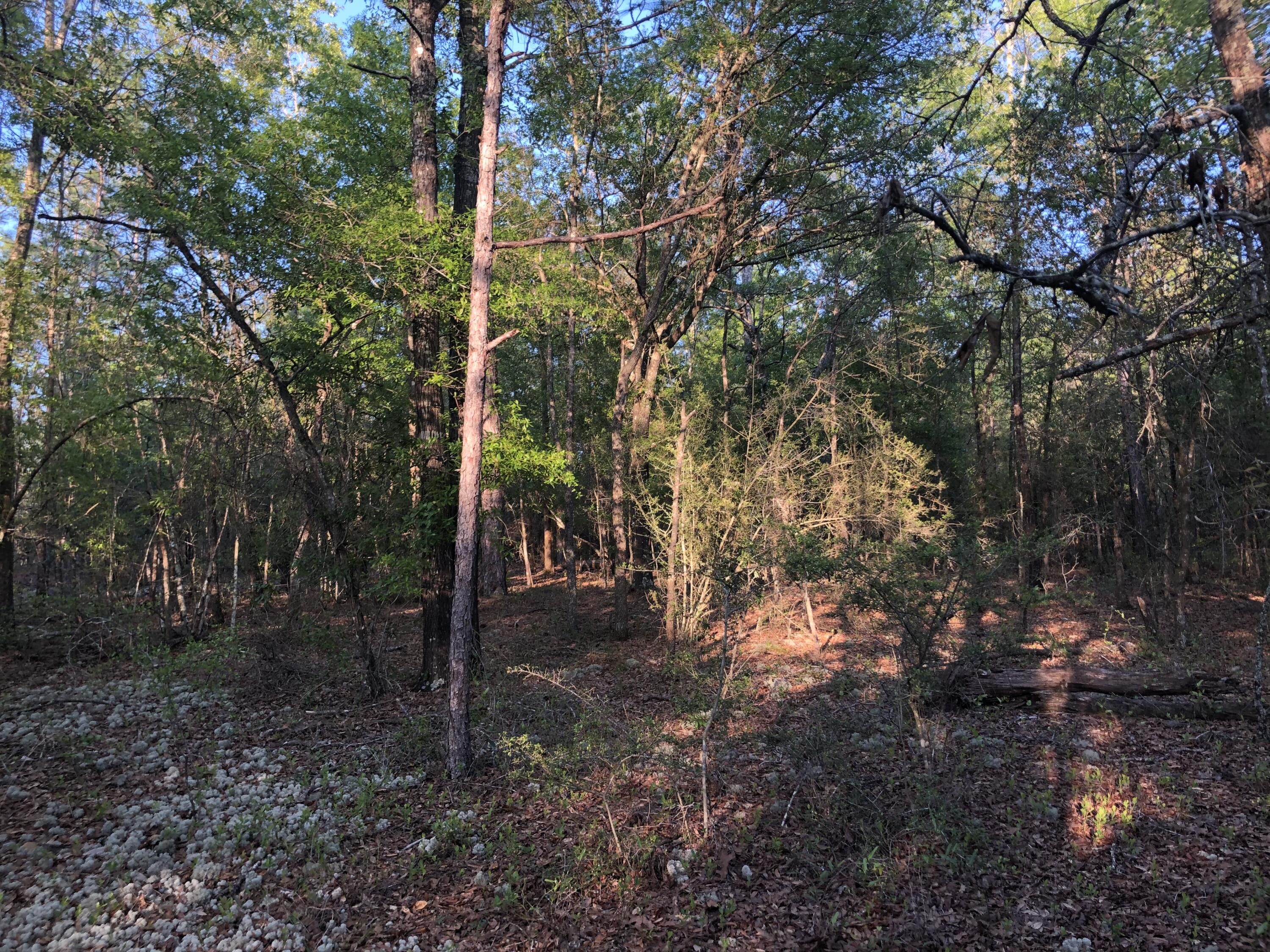 BELLE HIGHLAND ESTATES - Land
