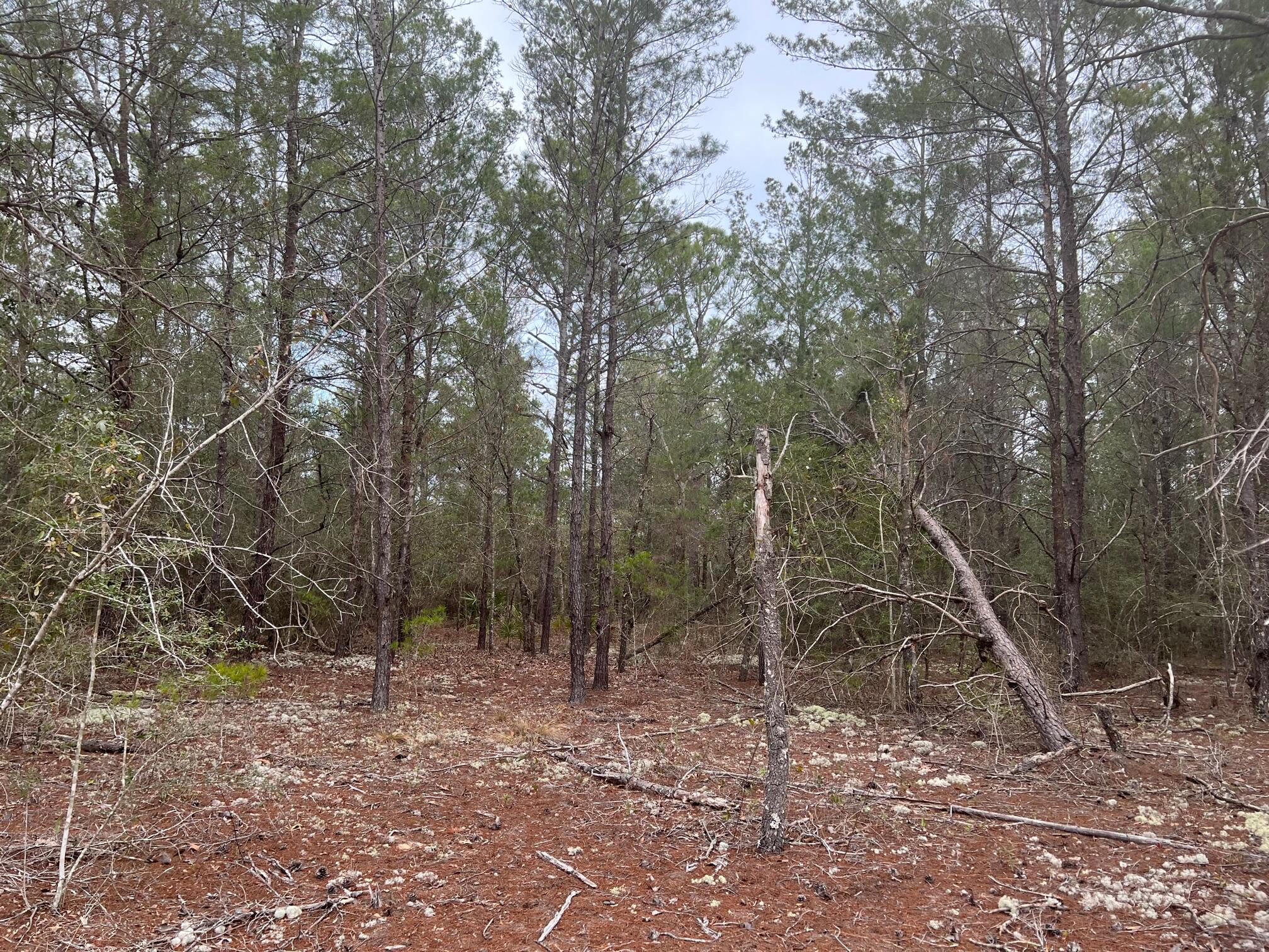 OAKWOOD HILLS UNIT 1 - Land