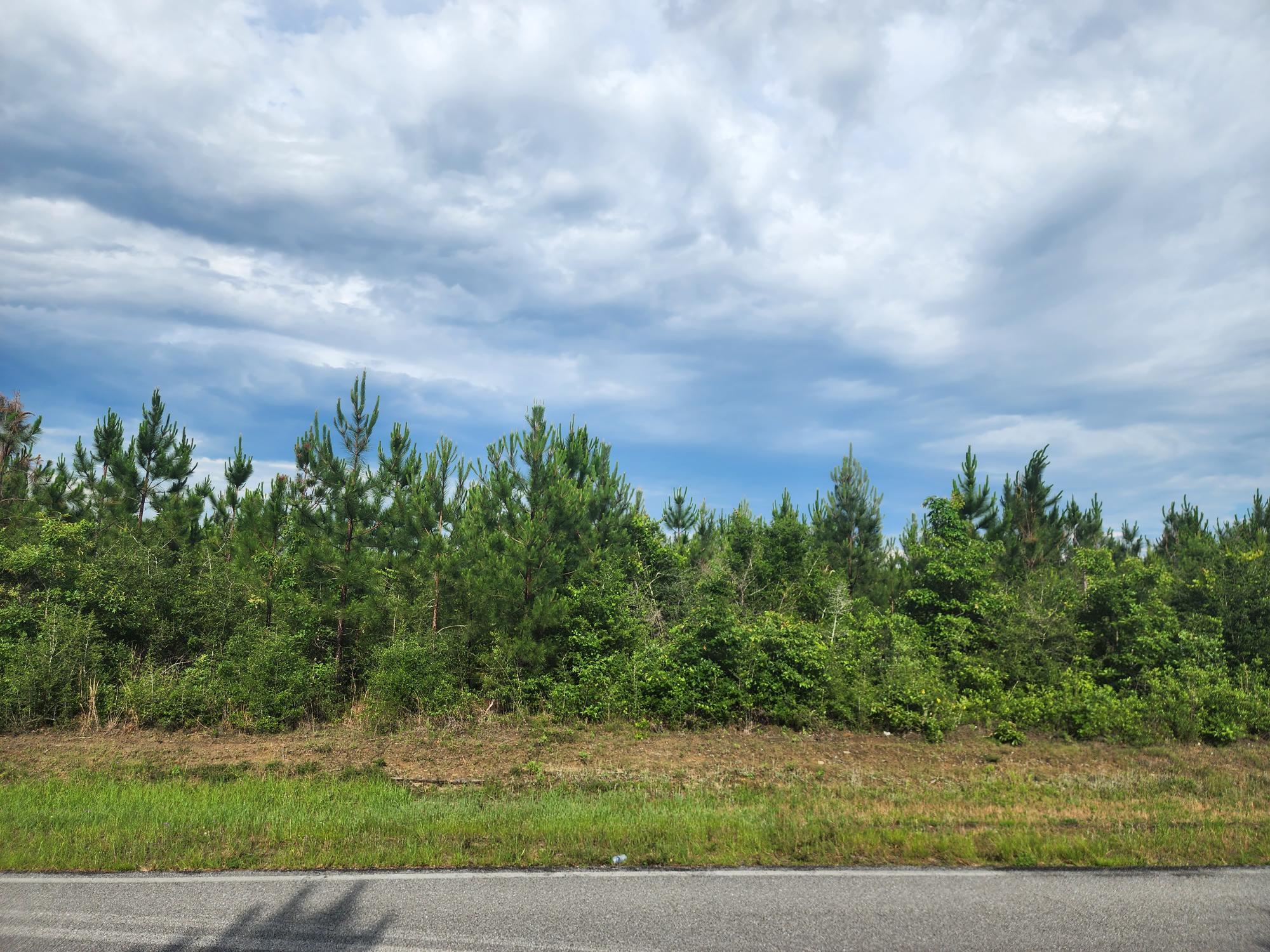 Parcel 2 - Long Rd - Land