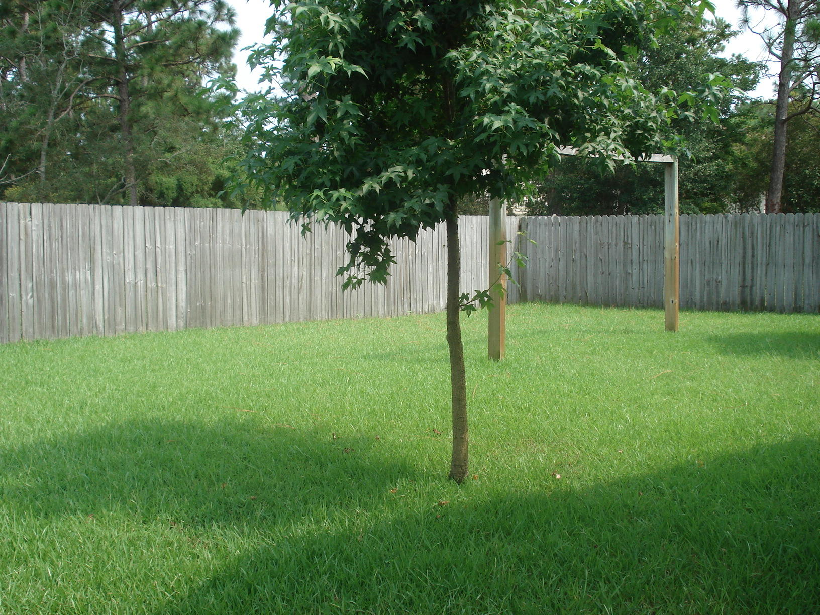 SUNRISE VILLAGE S/D - Residential Lease
