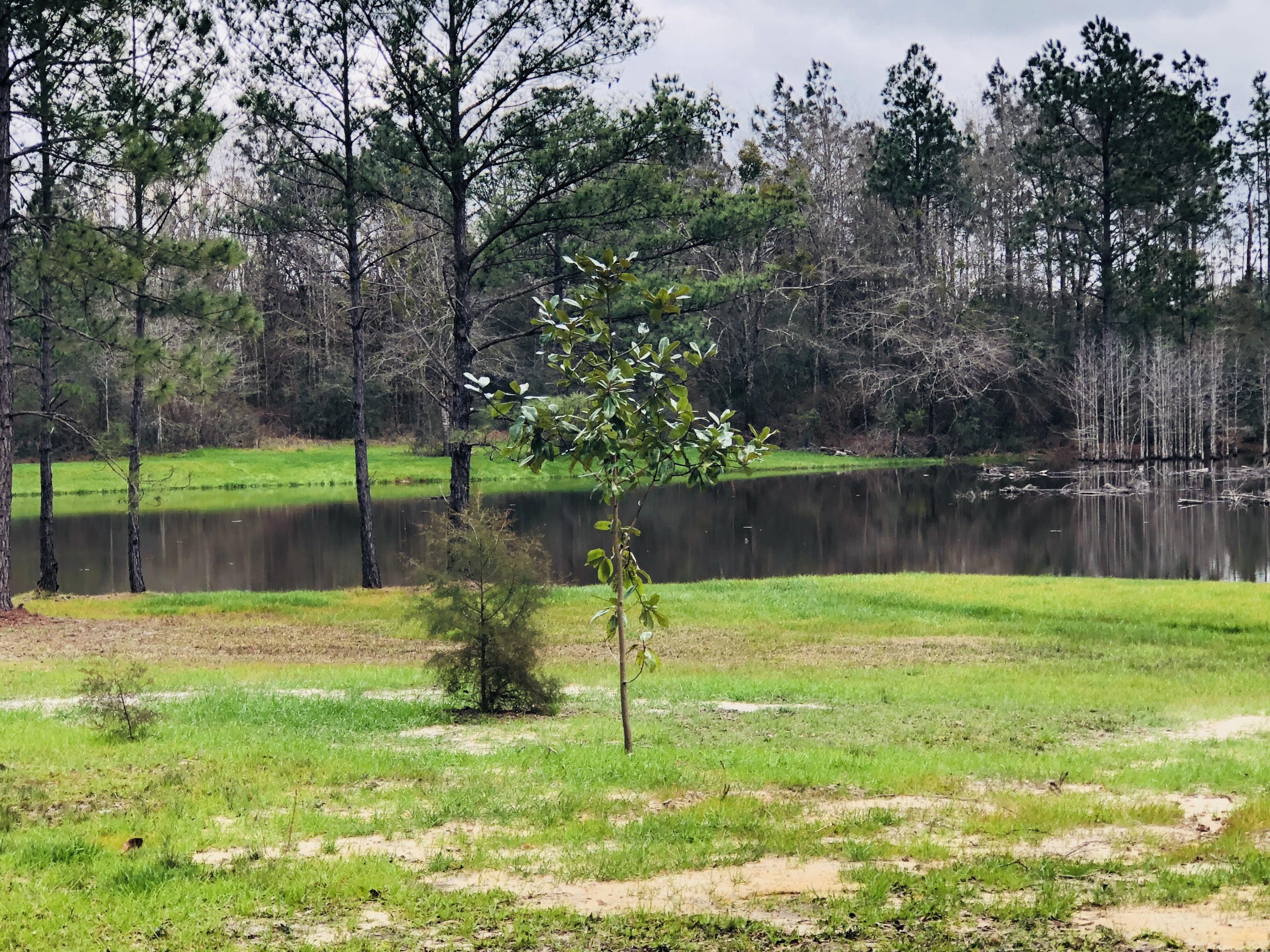 Country living with private pond. Property has everything a sportsman would desire. Home is a single wide manufactured home with new HVAC that sits beautifully on 13 acres overlooking private pond. This well kept home will make a perfect property for first time homebuyer or someone looking to build their forever home. Property has plenty of room to start building while still enjoying all this property has to offer. Sellers have already done the hard work for you. Underbrush was cleared down to the water and pond has recently been updated with new dam, new drainage pipe and most trees removed leaving you with a gorgeous view from your back porch. Whether you like to fish or just sit back and enjoy the beautiful surroundings, this is a property you don't want to miss.