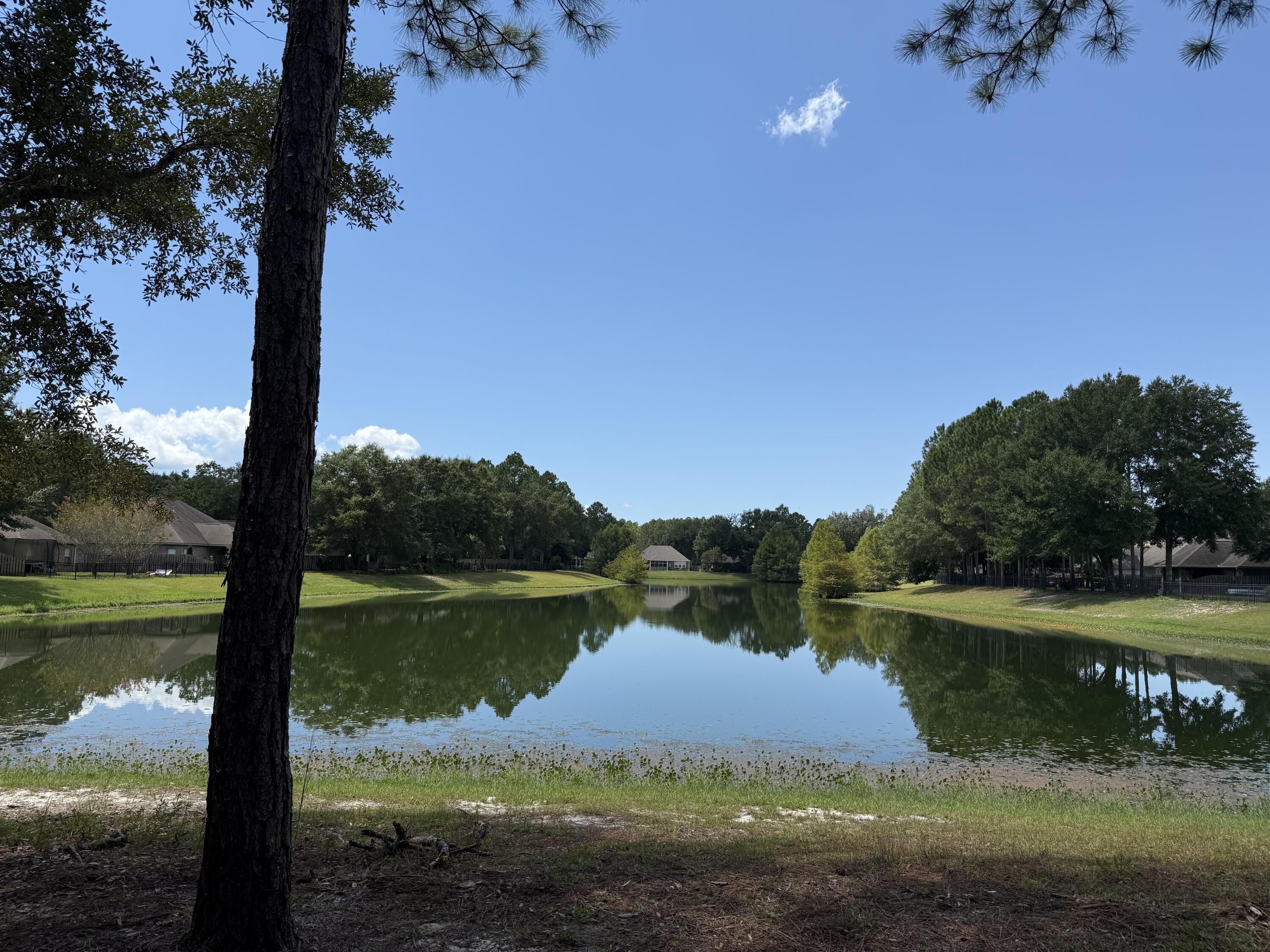 HAMMOCK BAY - Land