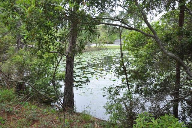 OLDE FLORIDA LAKES PH I - Residential