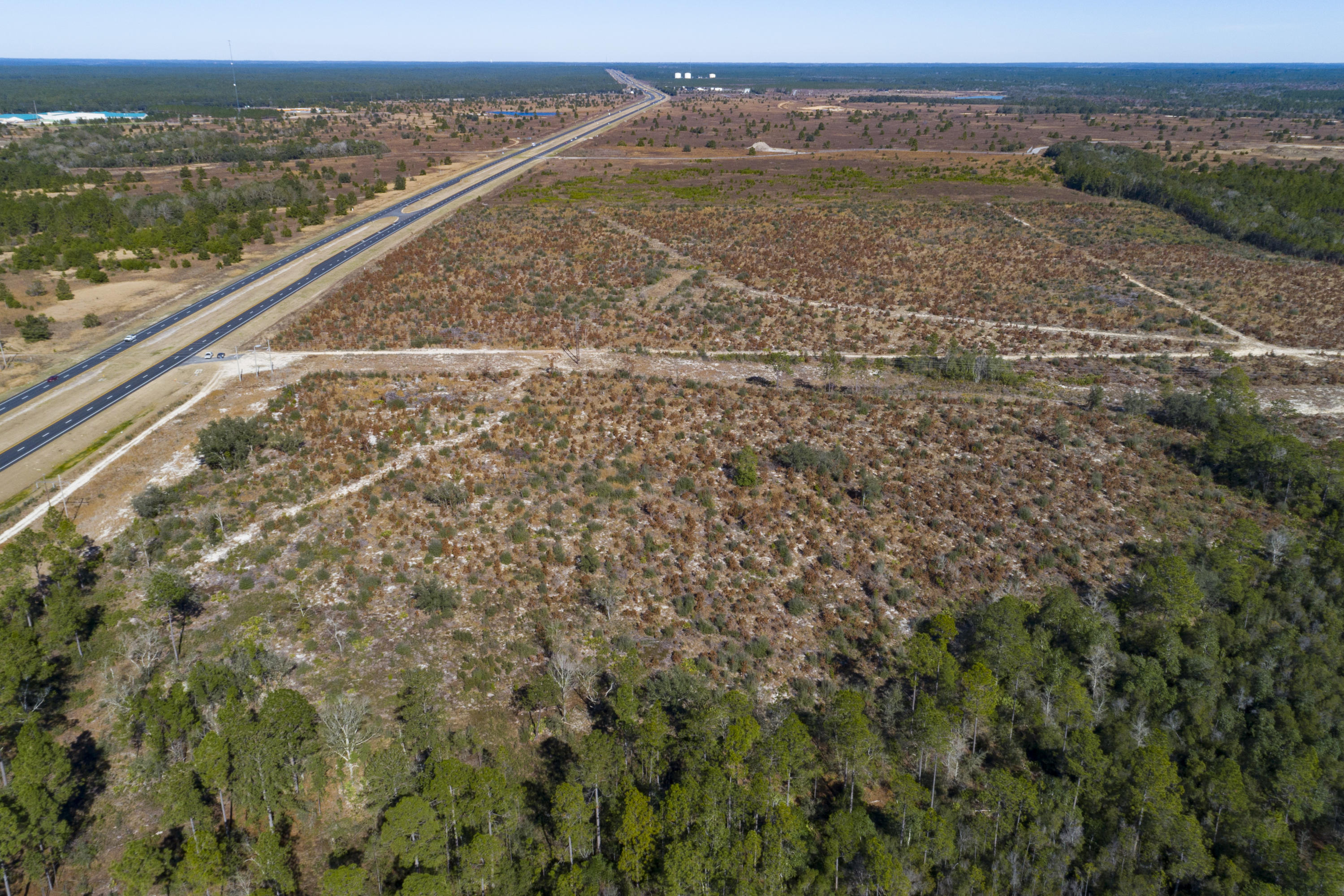 551+/- acres of prime development property with frontage on Highway 331 in Freeport, Walton County, Florida - the 6th fastest growing county in the US. Attractive pricing and ideal topography help make this the perfect place for your next Residential, Commercial, or Industrial development. Buyer to verify all information they deem important. Priced to sell, this opportunity will not last, call today for more information.