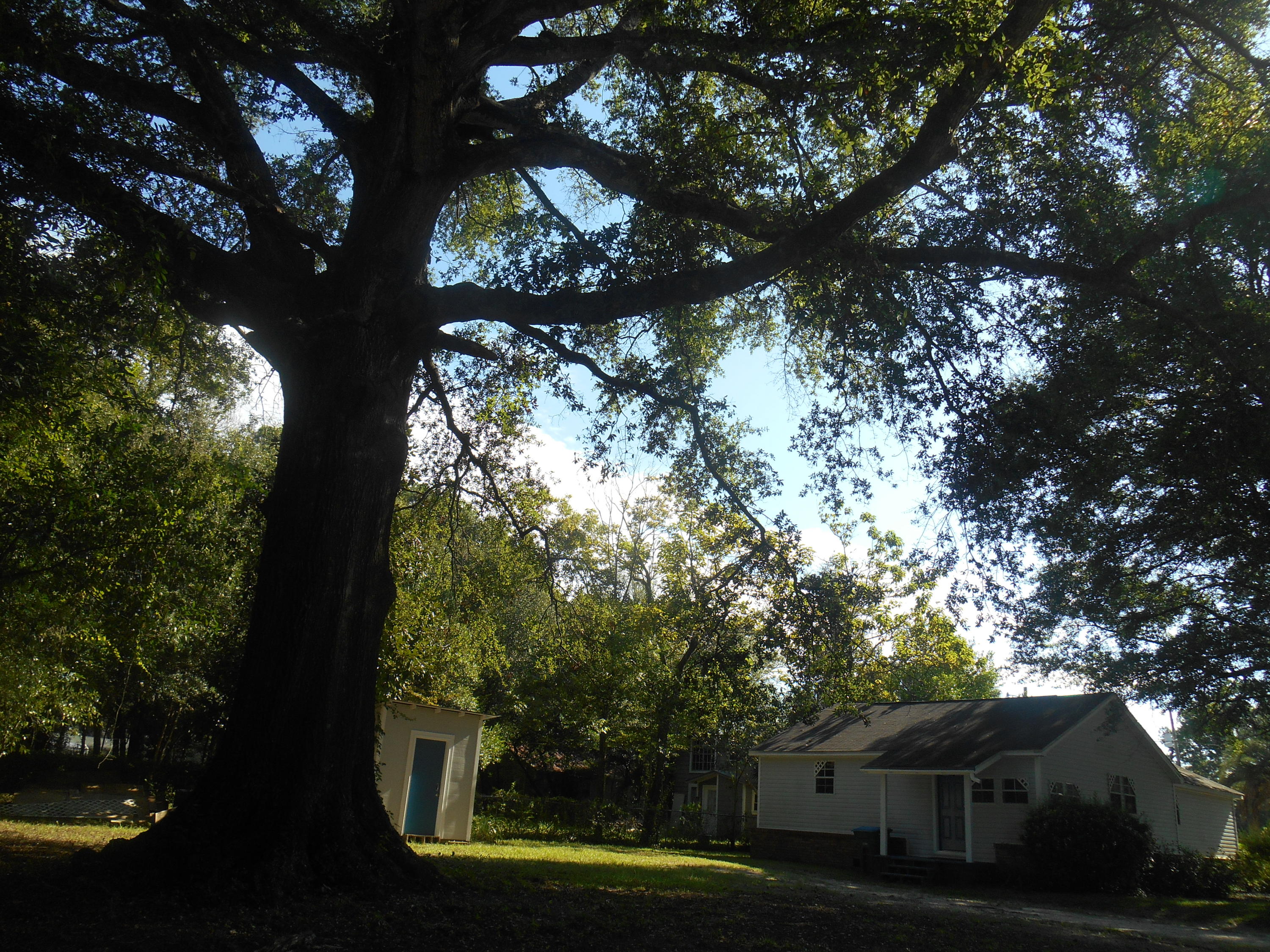 Northwood Addition - Residential Lease