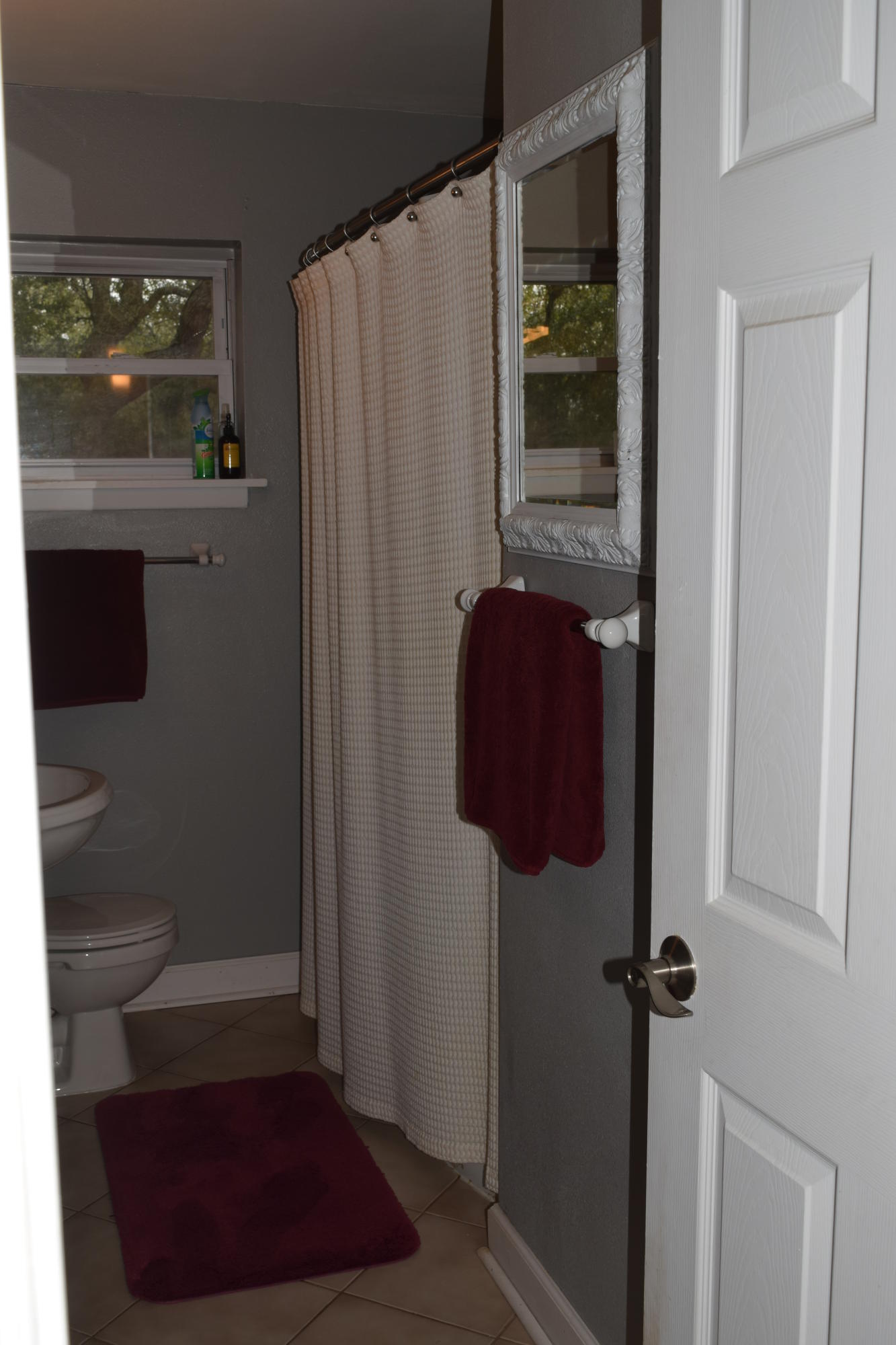 SPRINGDALE - Residential Lease