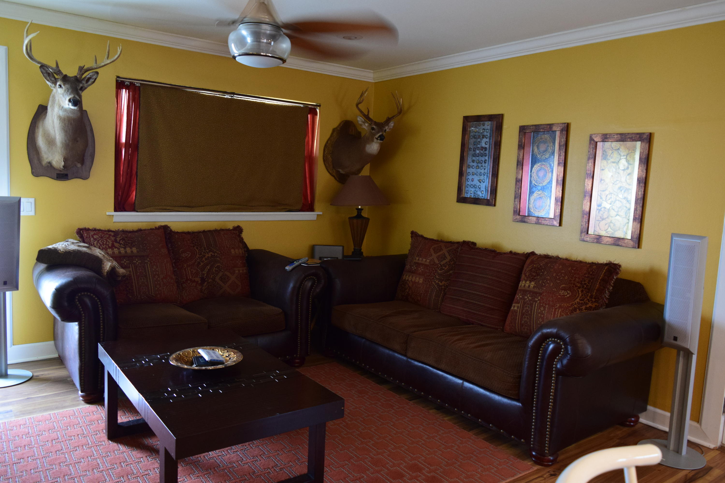 SPRINGDALE - Residential Lease