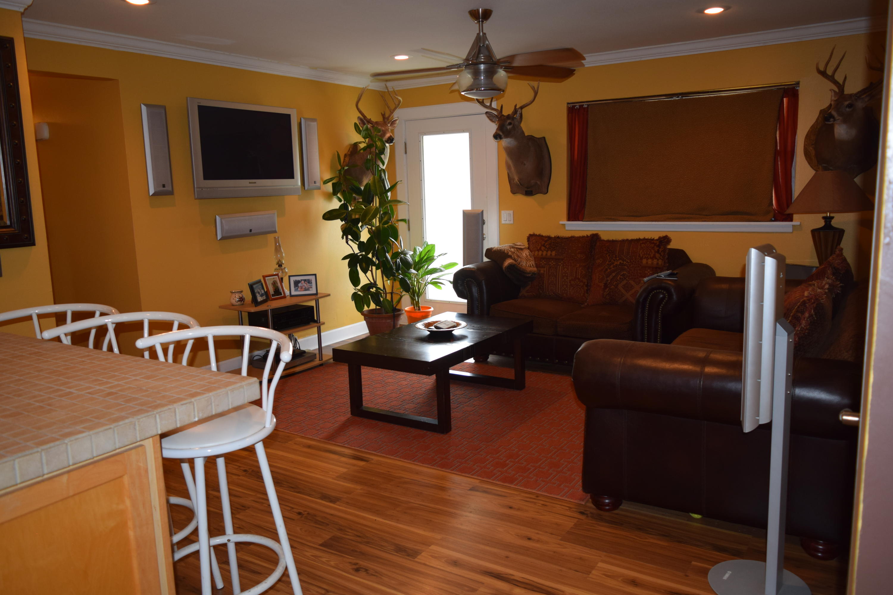 SPRINGDALE - Residential Lease