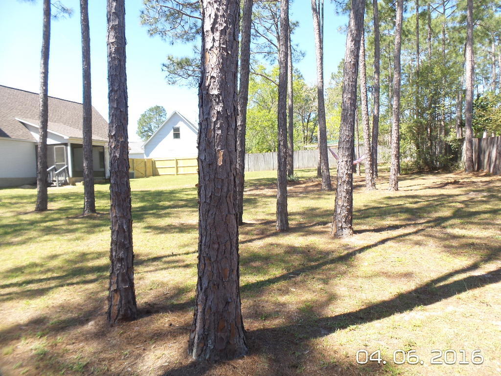 Northview - Residential Lease