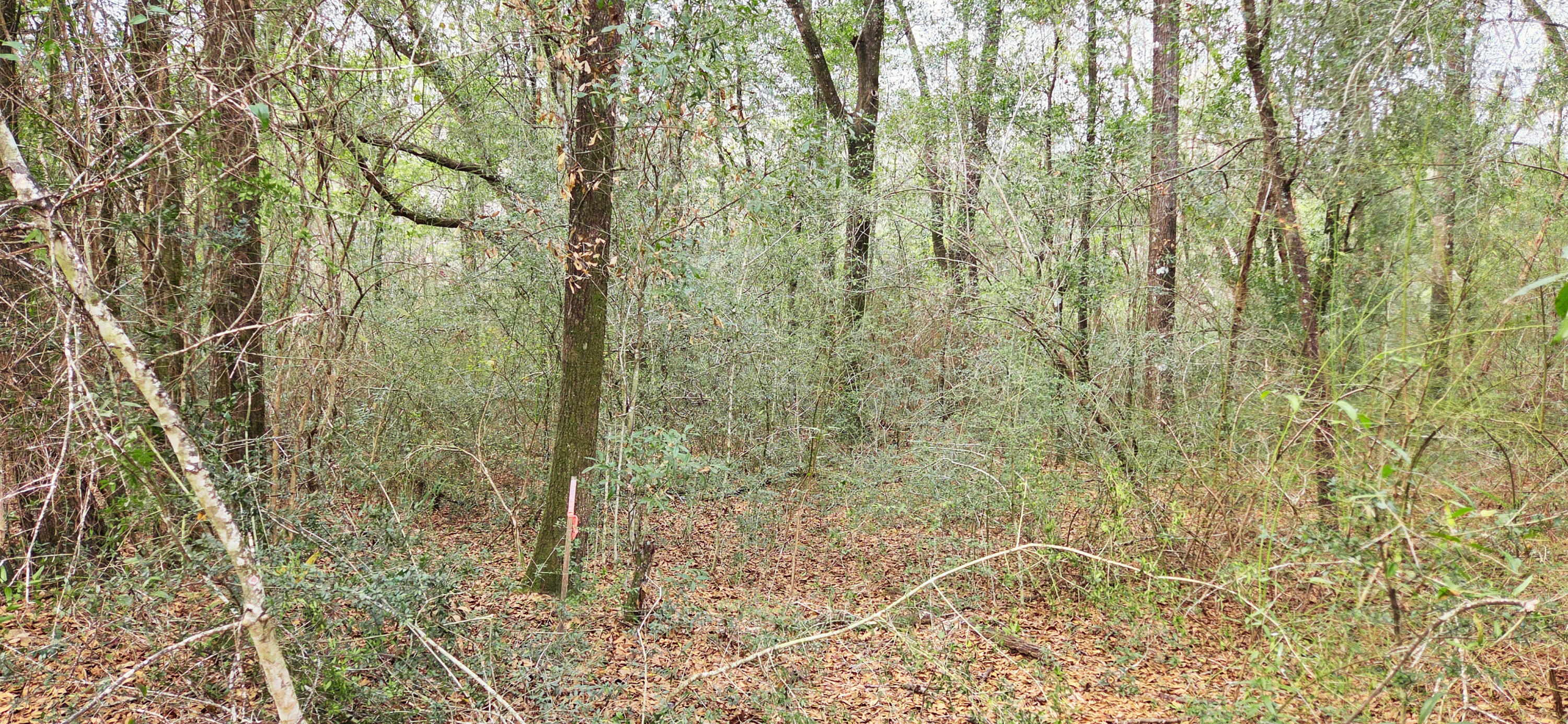 OAKDALE M/F - Land