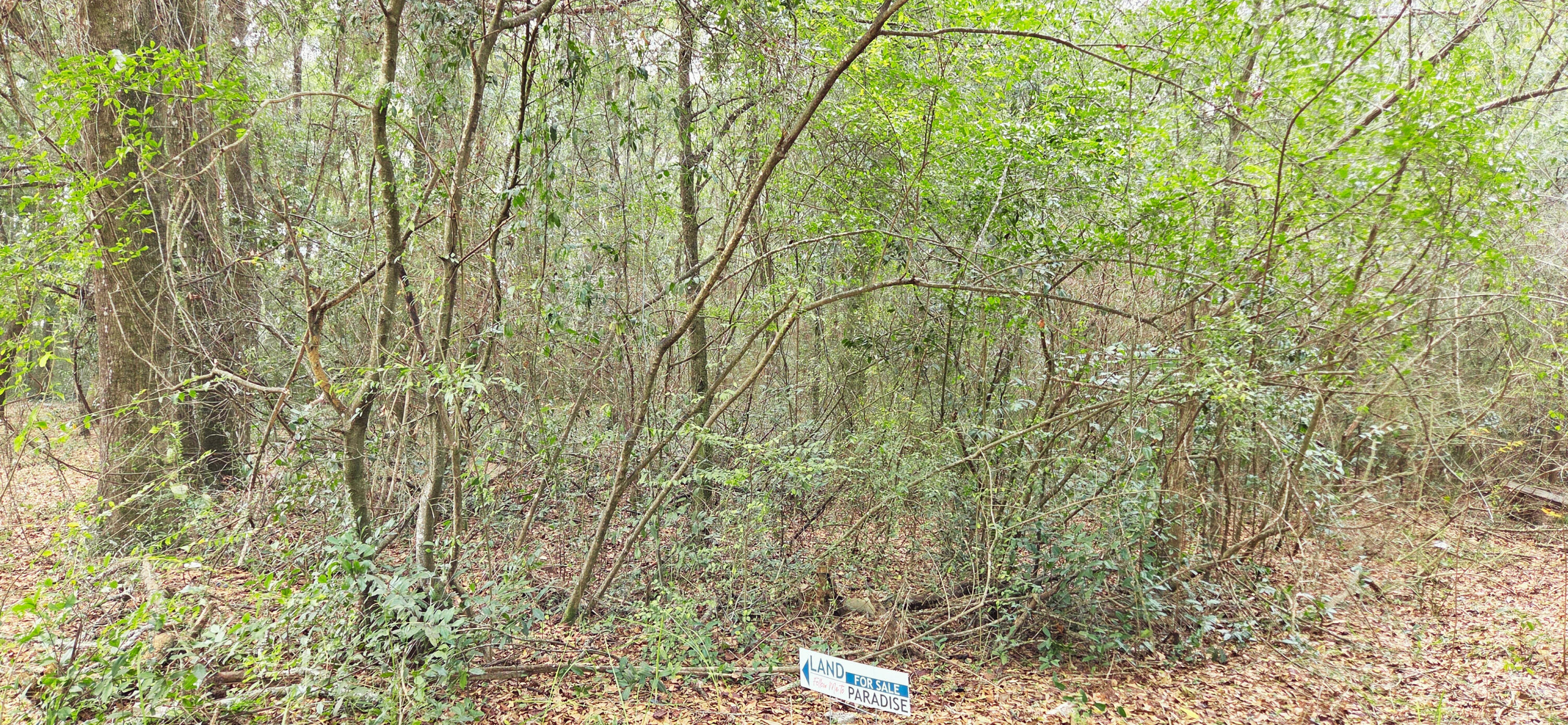 OAKDALE M/F - Land