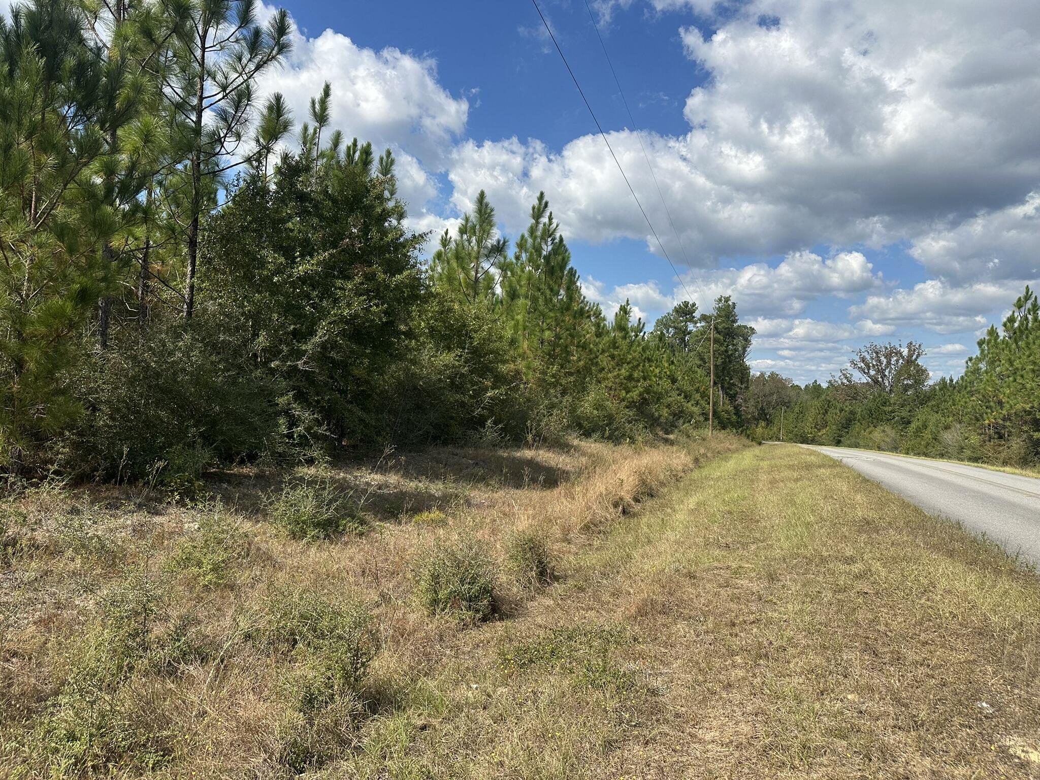 Do Not Enter the property without an agent who has a comfirmed appointment! Opportunity meets potential on New Ebenezer Road in Laurel Hill. This property offers an inviting mix of open space and natural landscape, perfectly suited for those seeking land with flexibility and future value. Enjoy the peaceful surroundings of North Okaloosa County with the convenience of paved access and nearby utilities. Whether you envision a private retreat, agricultural project, or long-term investment, this tract provides the setting and freedom to make it happen. Acreage is estimated. Buyer to verify all measurements, zoning, and any information deemed important during the due diligence period.