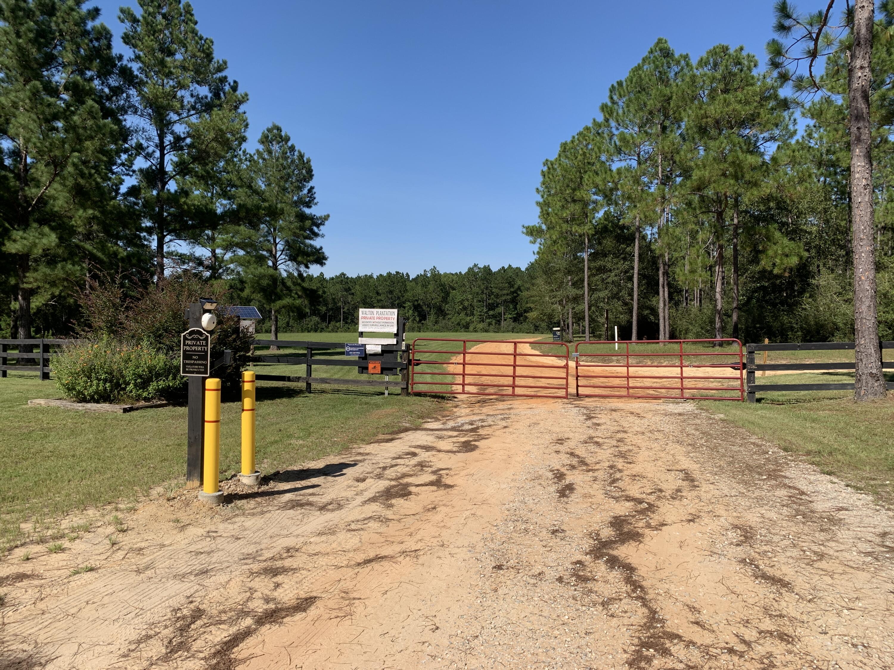 WALTON PLANTATION - Land