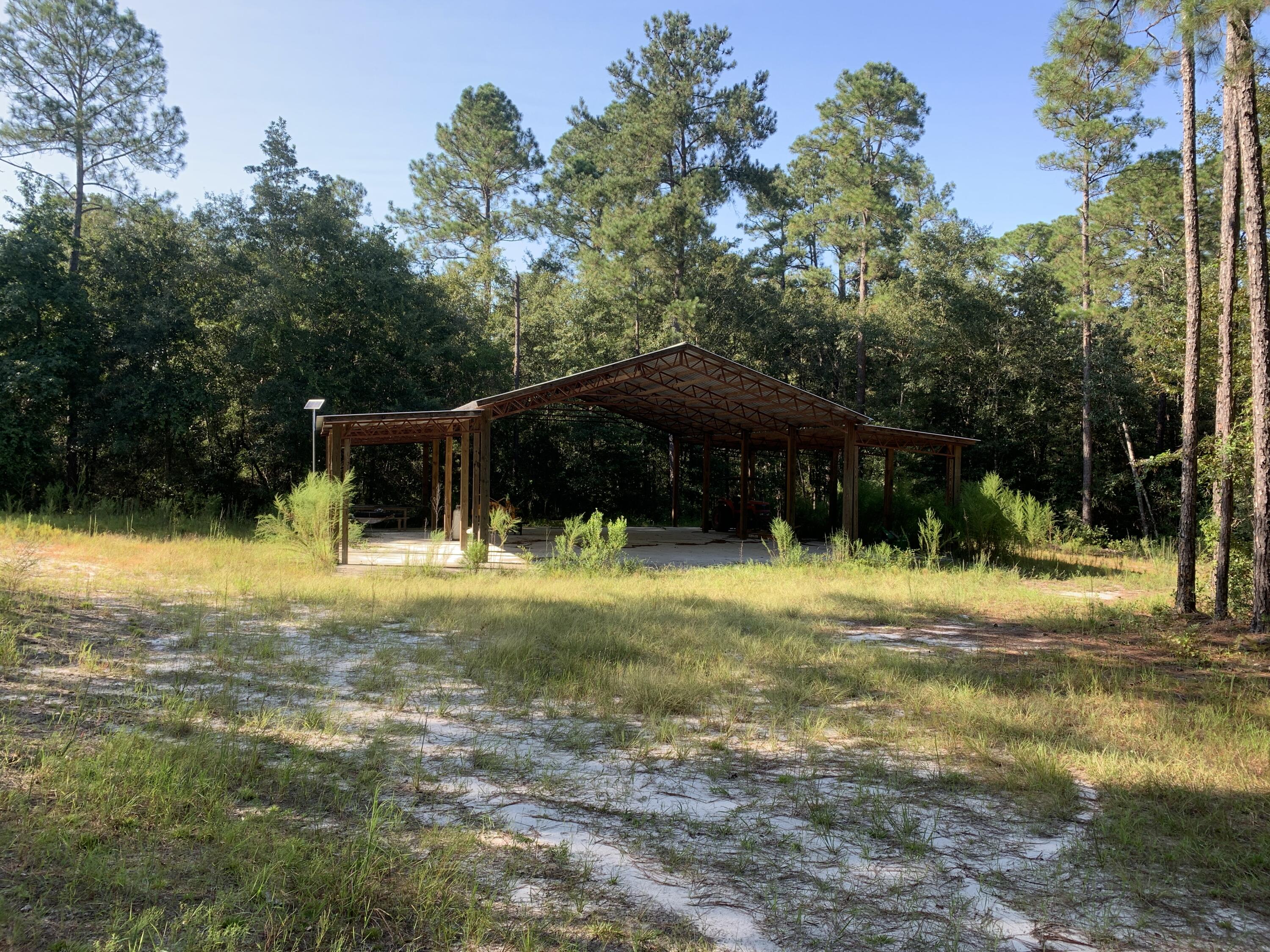 WALTON PLANTATION - Land