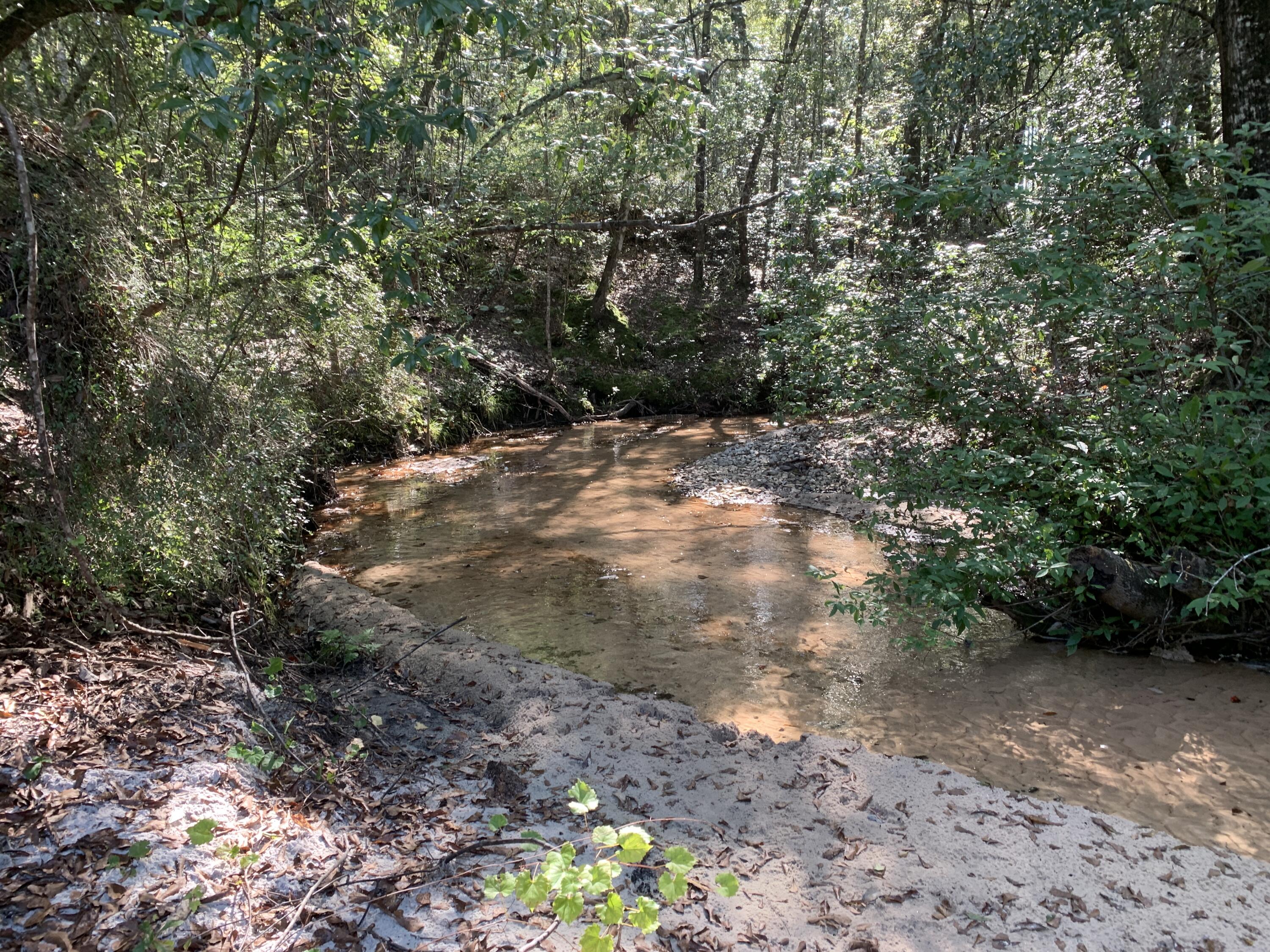 WALTON PLANTATION - Land