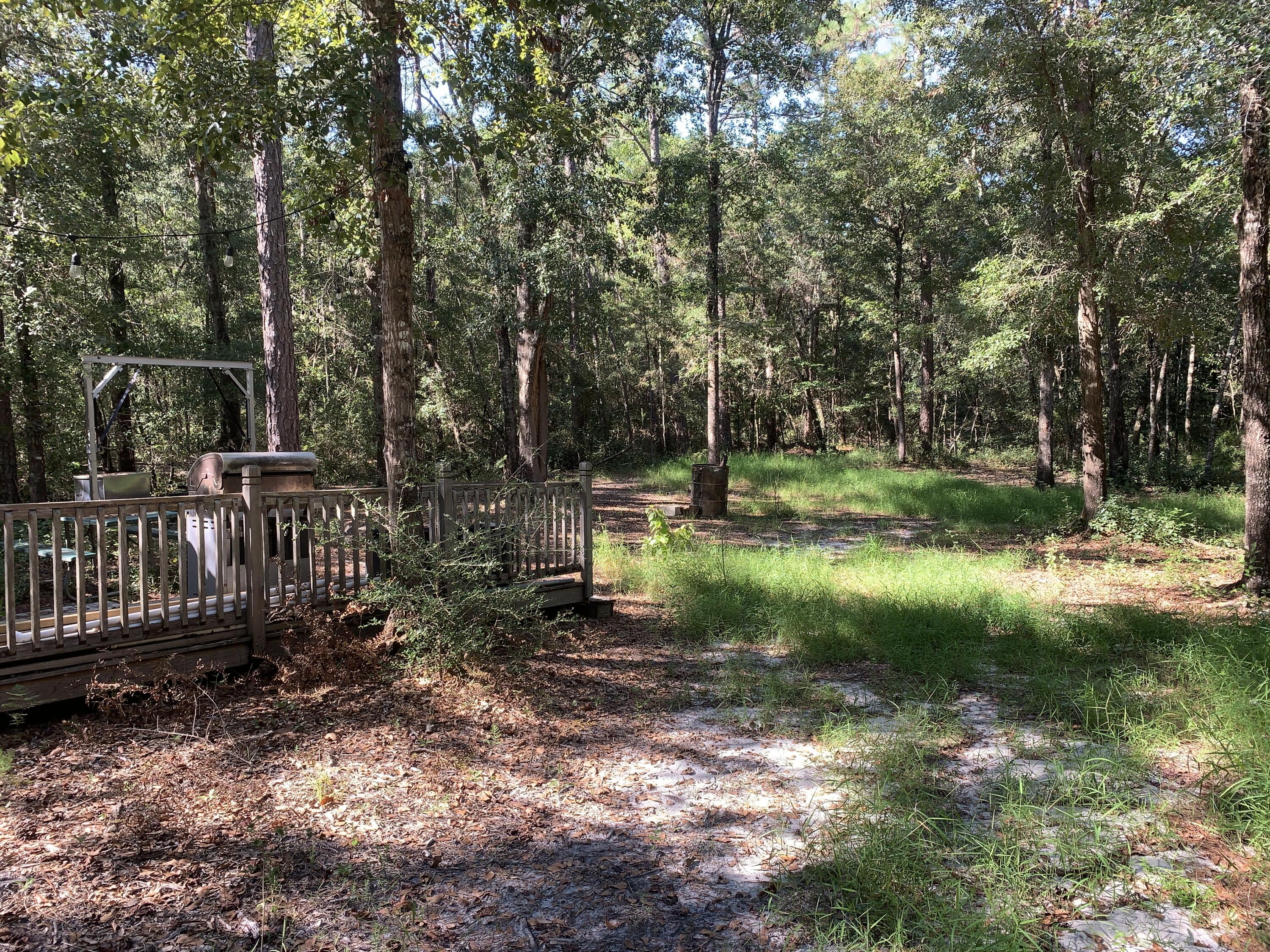 WALTON PLANTATION - Land