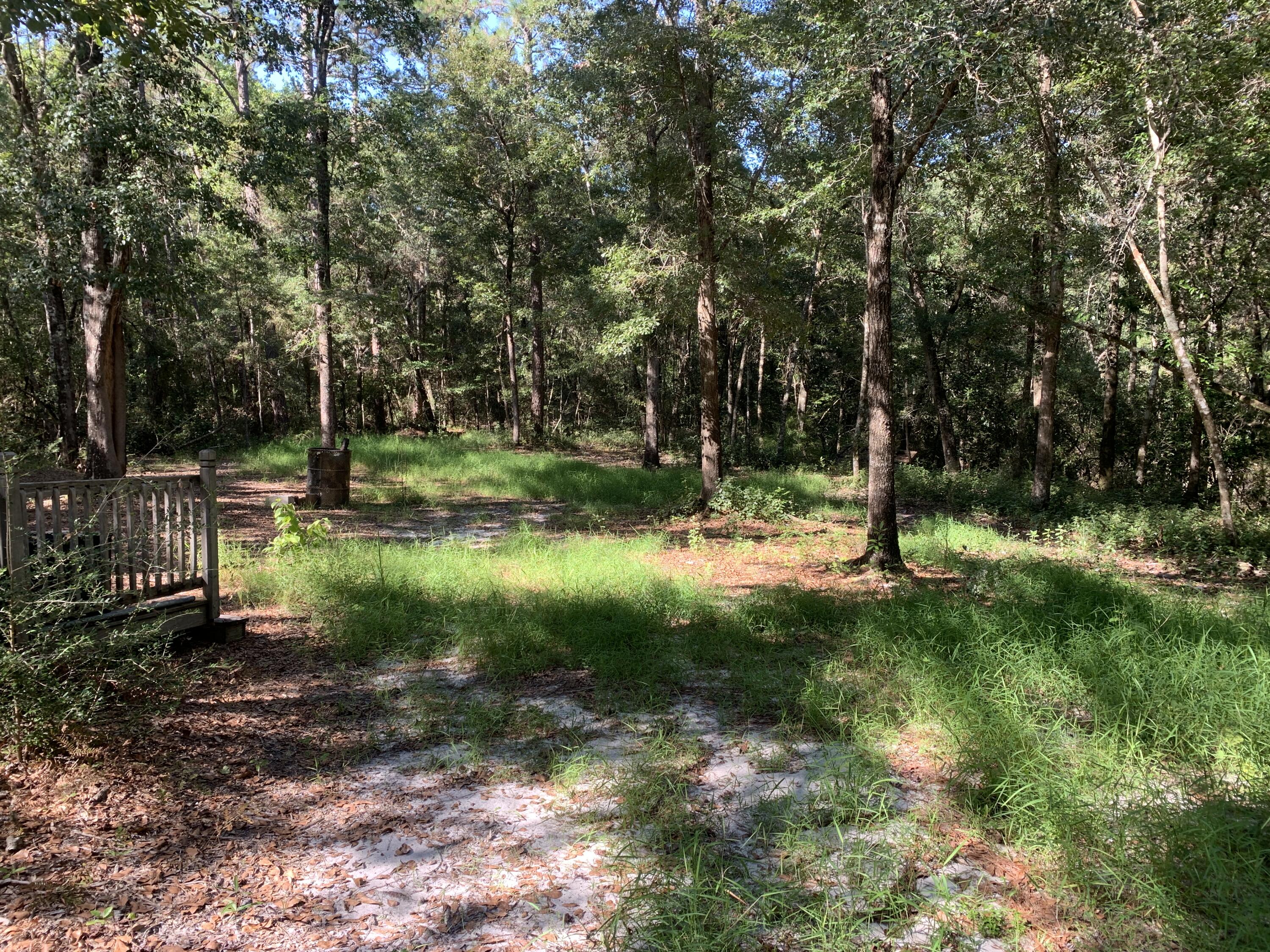 WALTON PLANTATION - Land