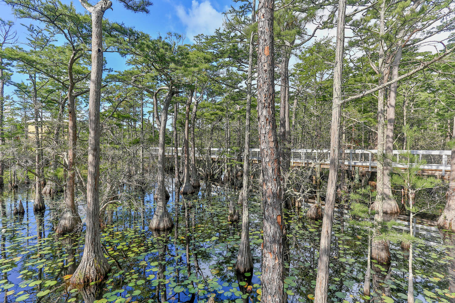 CYPRESS DUNES - Land