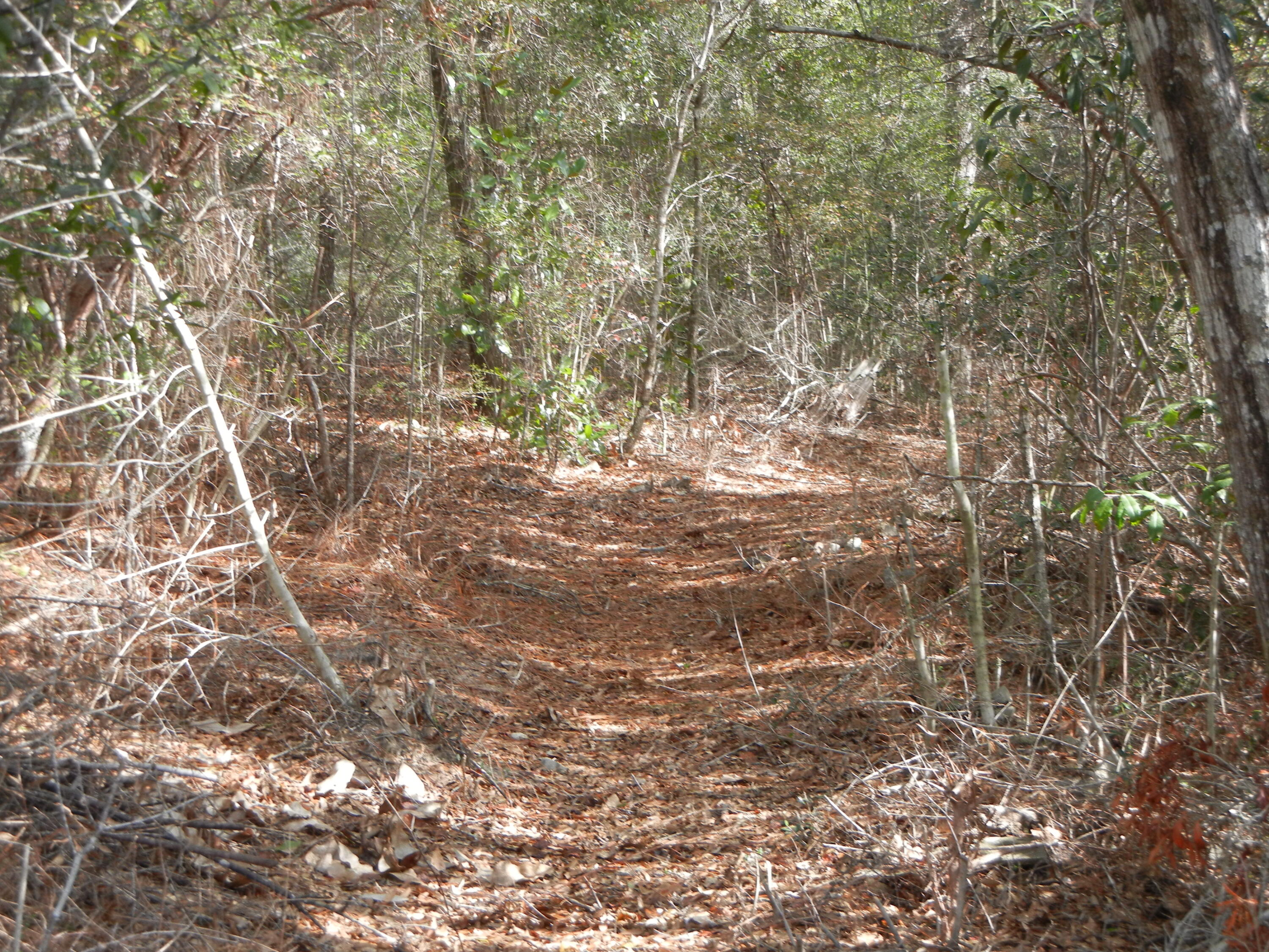 INDIAN TRAILS PH 3 - Land