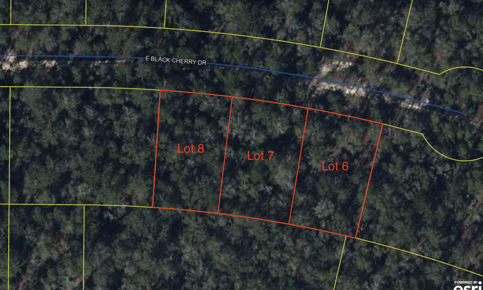 OWNER FINANCING AVAILABLE with $3,000 down.  About a quarter-acre lot located in FLOOD ZONE X.  No required flood insurance.  Almost at the end of the cul-de-sac.  Just off Hwy 90, close to I-10.